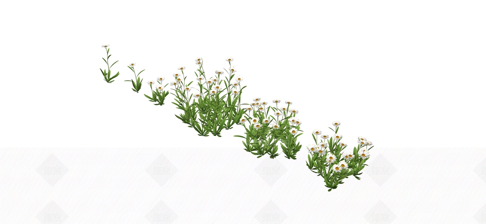 花草SU模型下载【ID:1184095792】