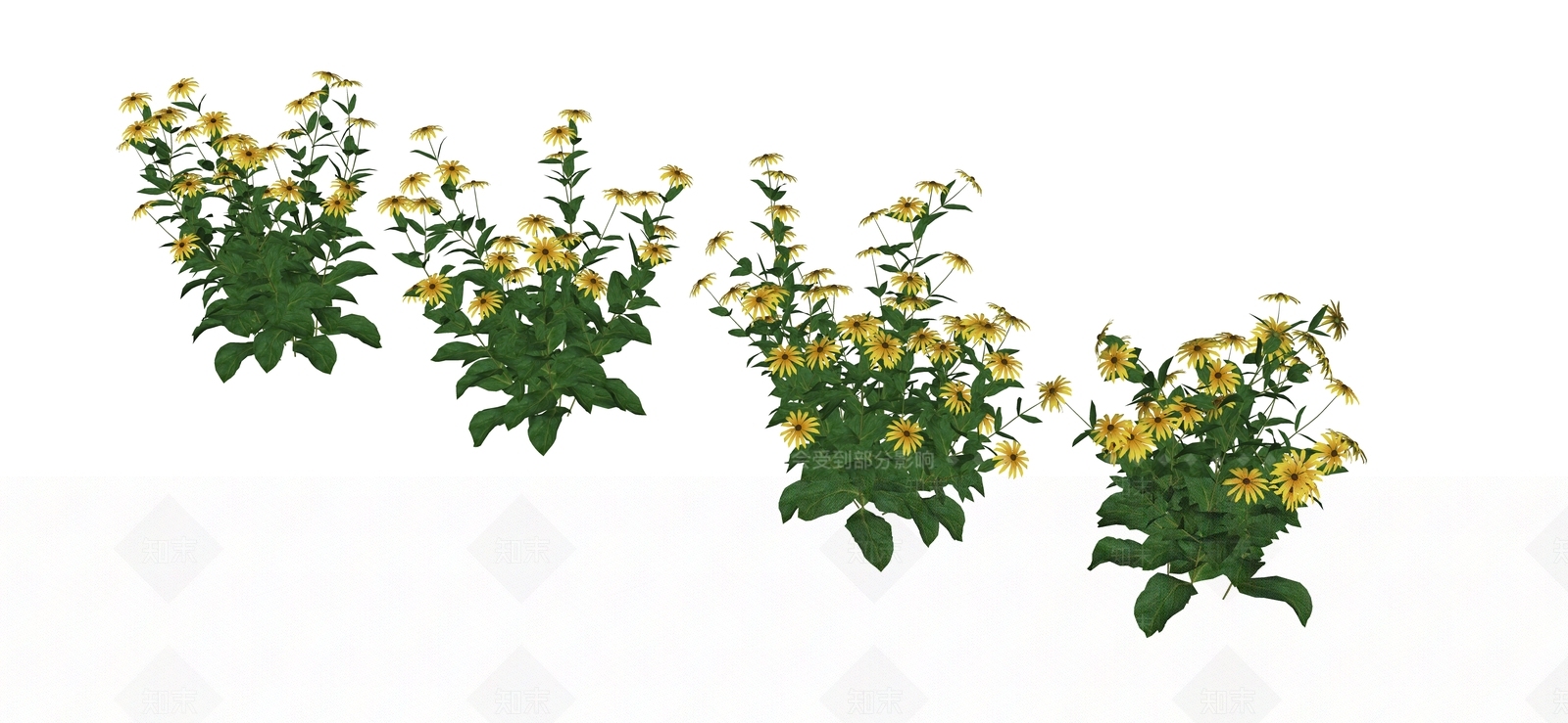 花草SU模型下载【ID:1184096378】