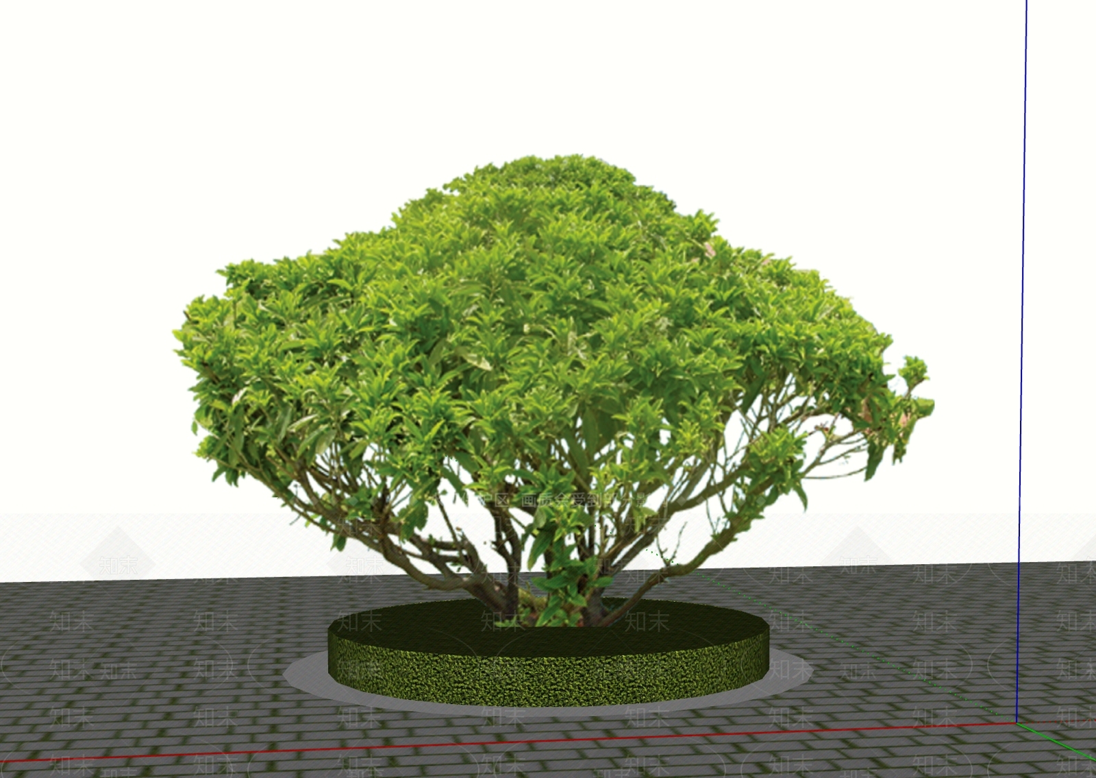 灌木SU模型下载【ID:1184102796】