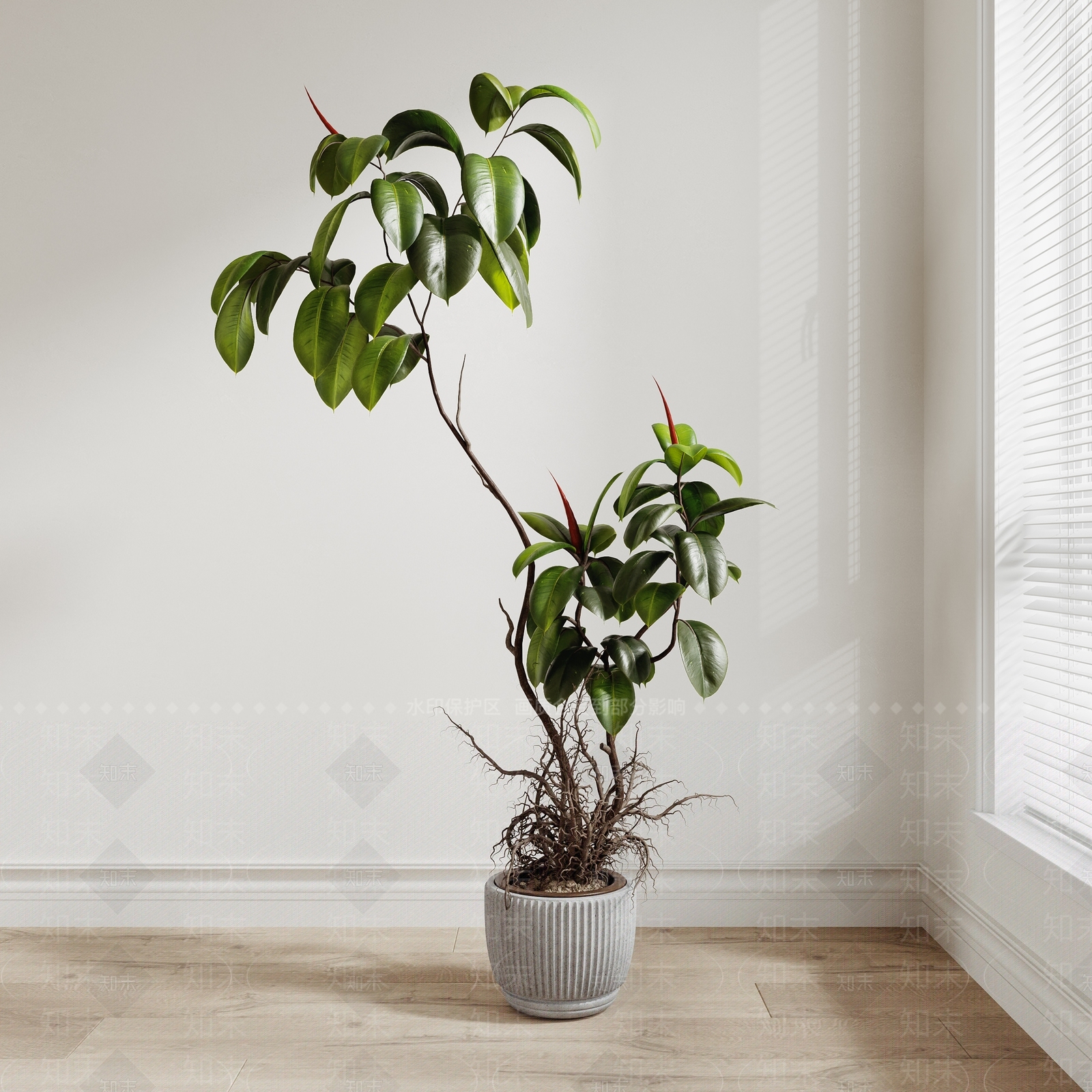 盆栽3D模型下载【ID:1184105297】