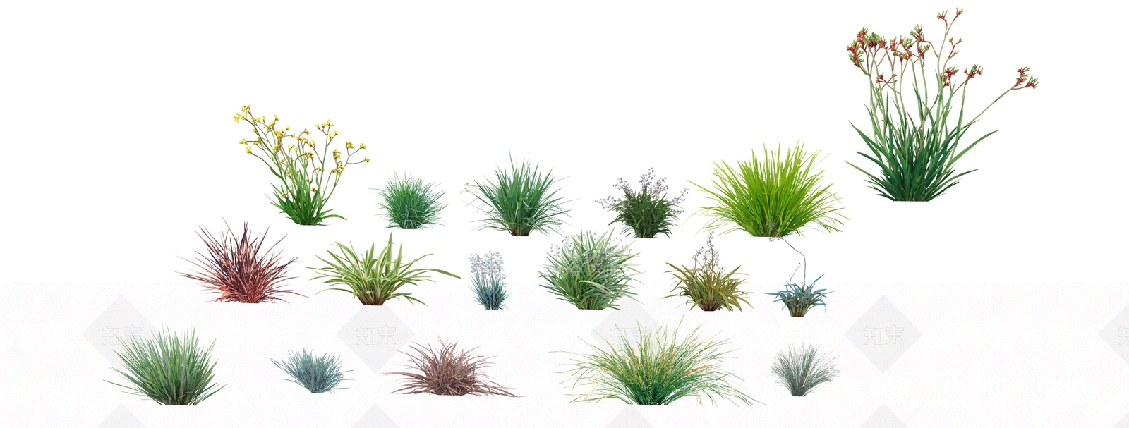 花草SU模型下载【ID:1184161082】