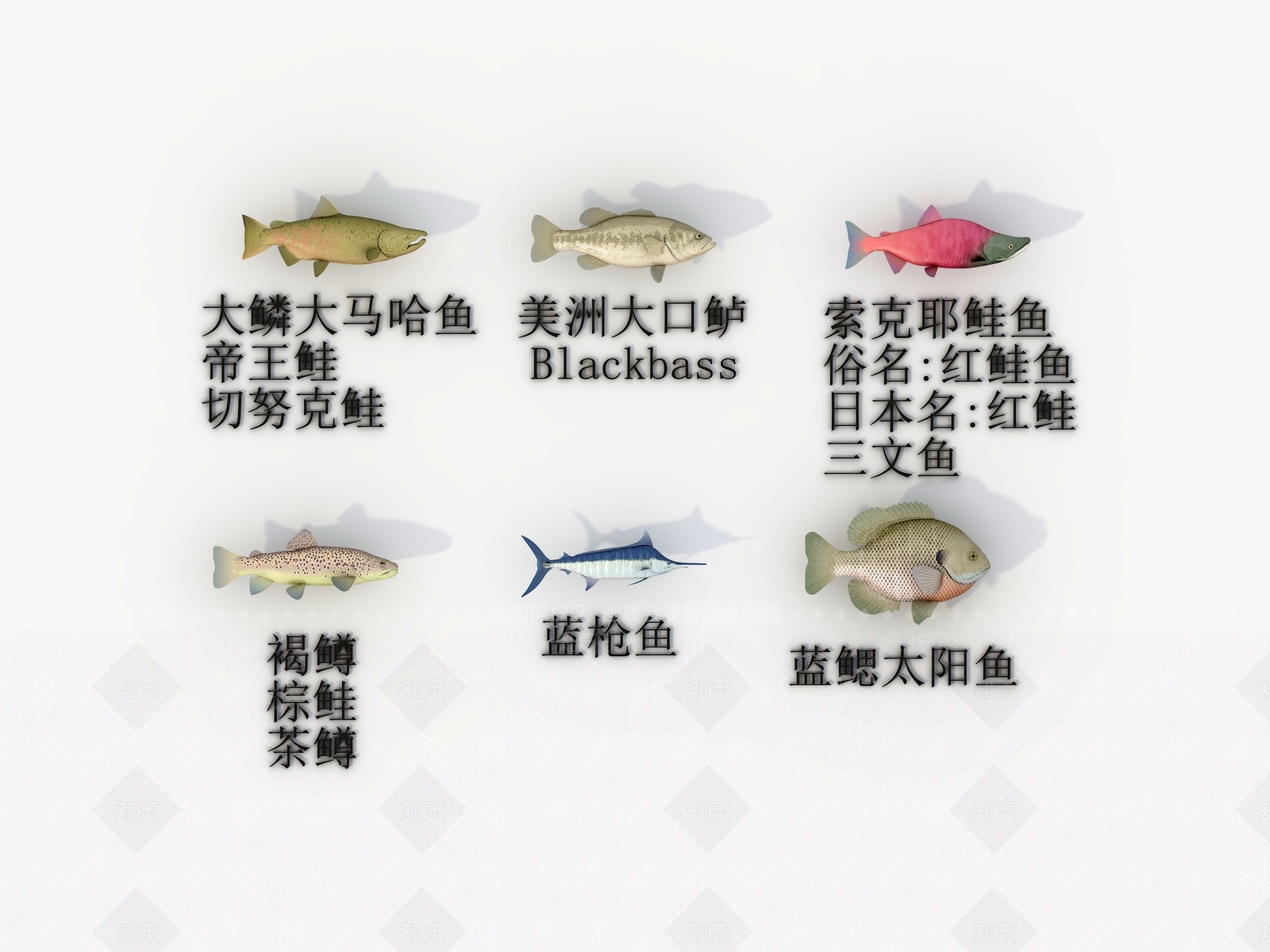水生类动物3D模型下载【ID:1184175093】