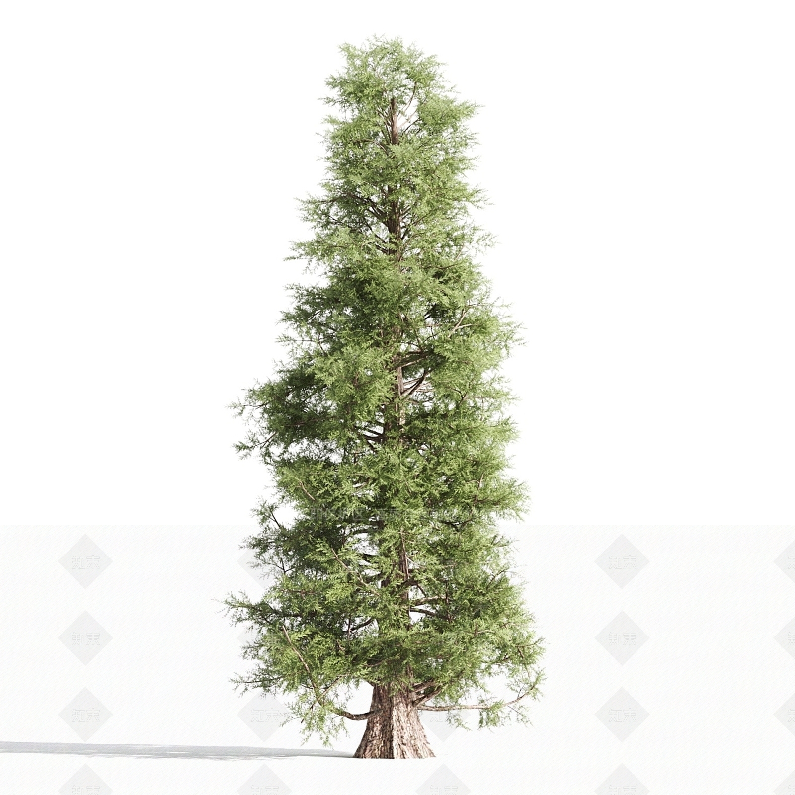 其他树木3D模型下载【ID:1184187972】