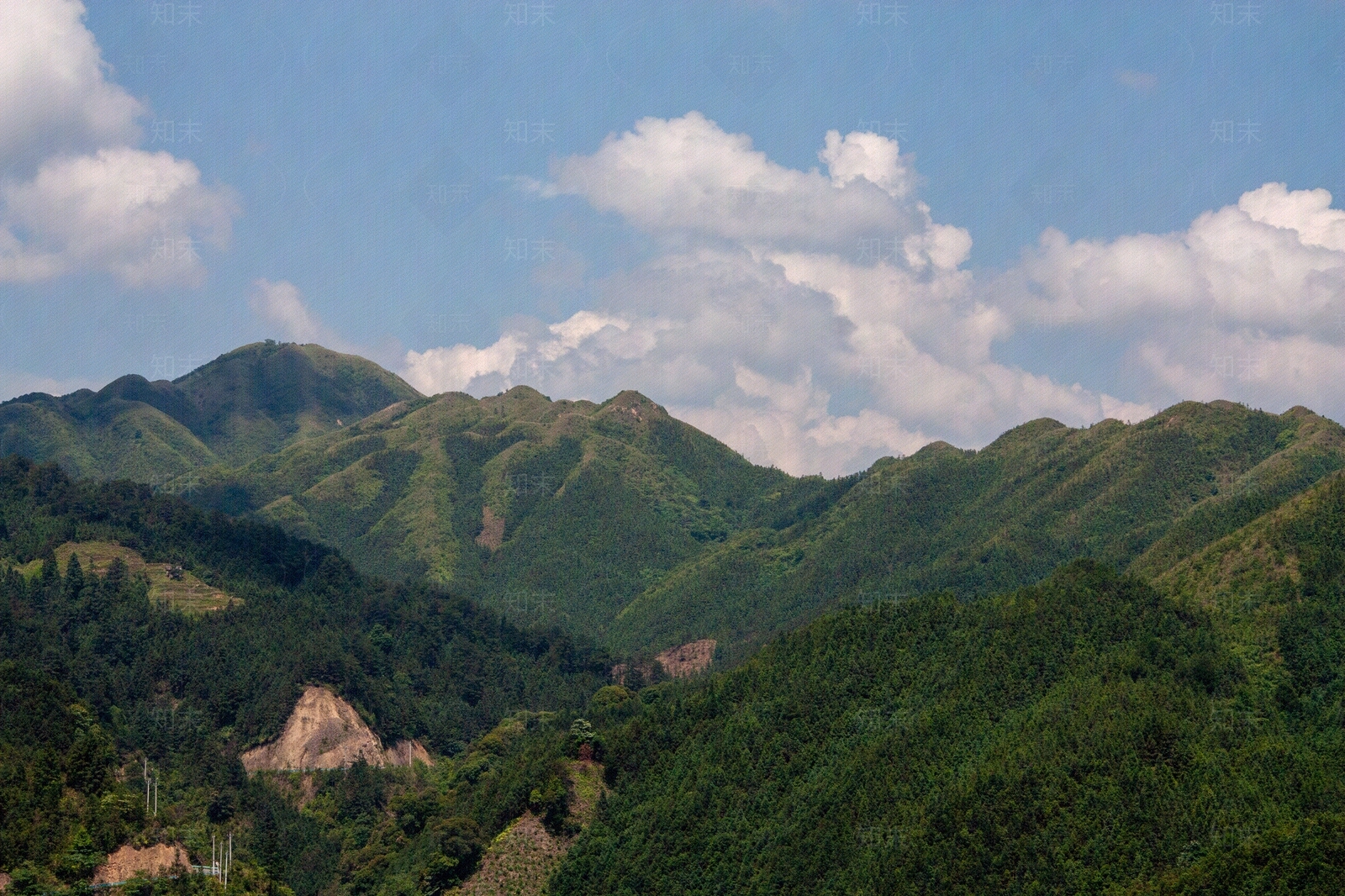 新中式现代风景贴图下载【ID:1184198886】