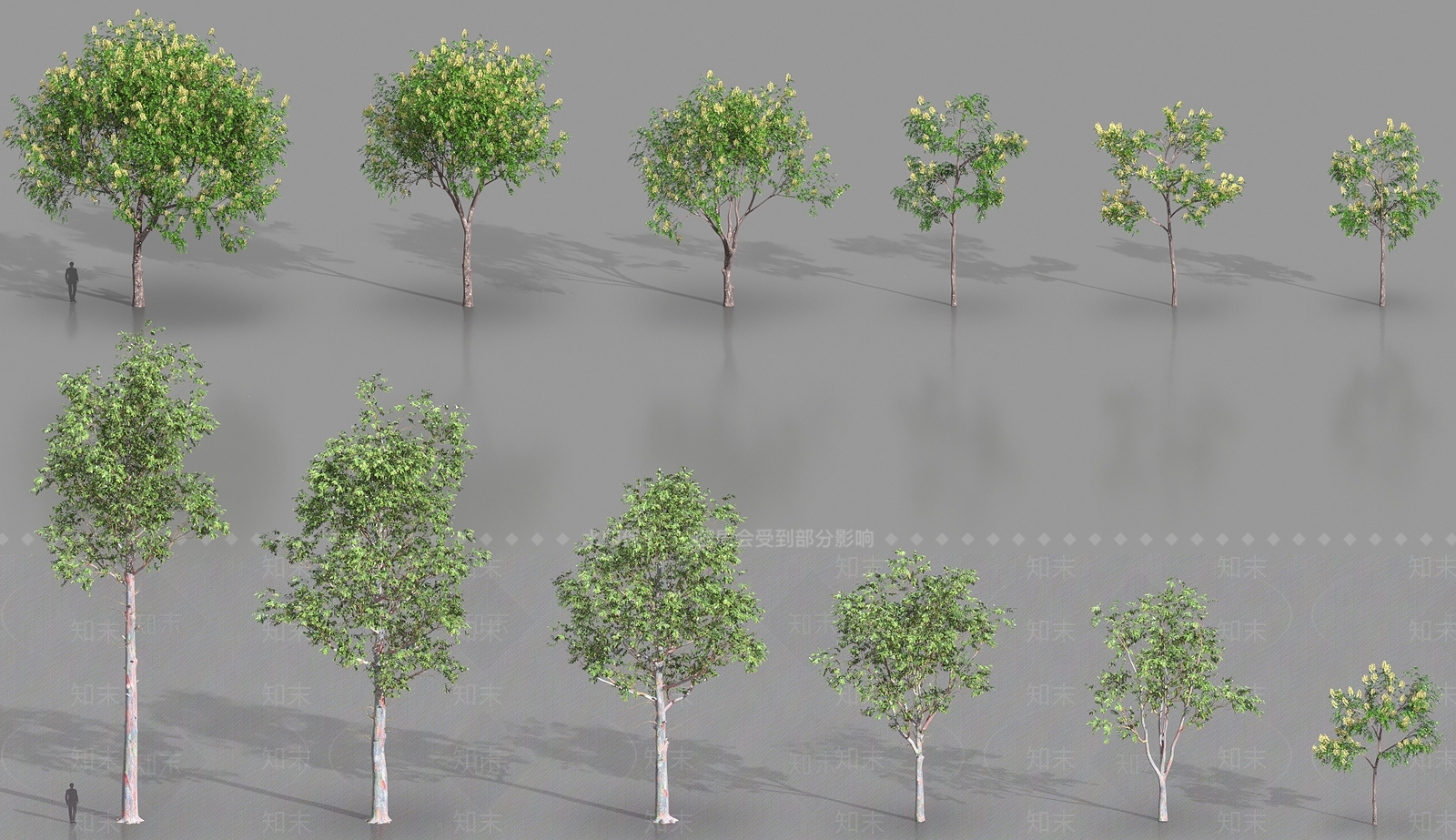 乔木3D模型下载【ID:1184250674】