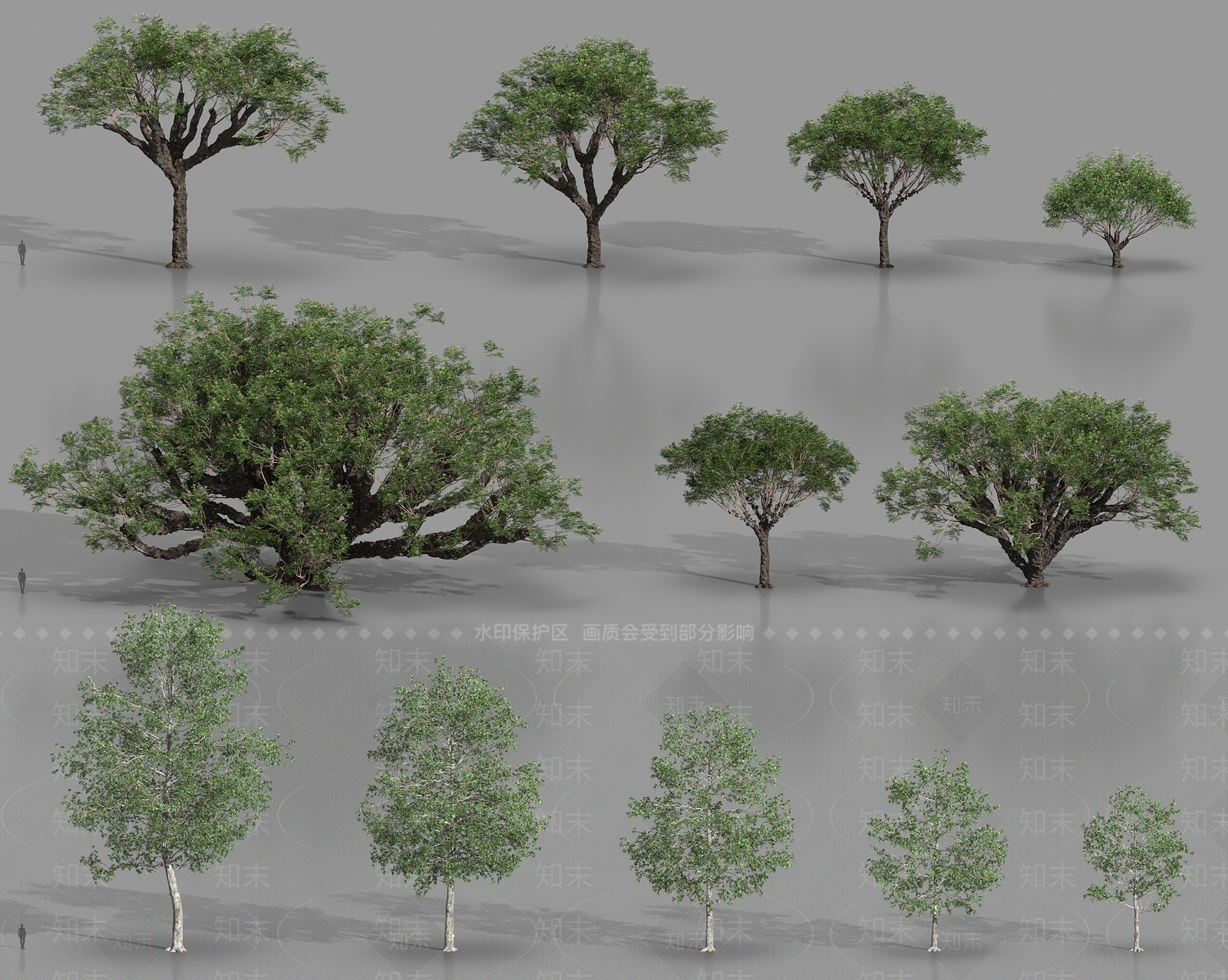 乔木3D模型下载【ID:1184251155】