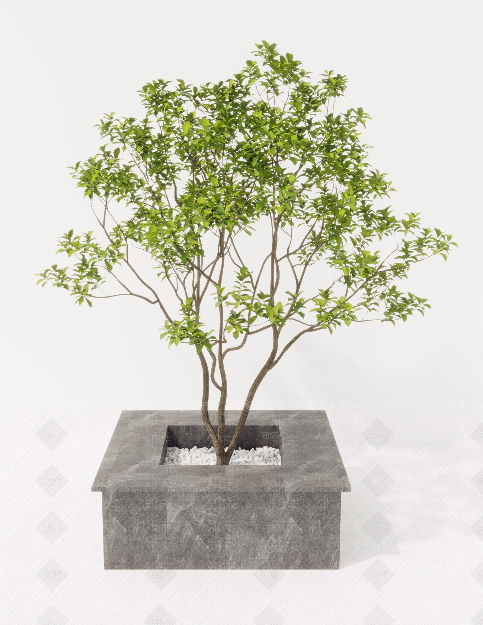 景观树3D模型下载【ID:1184260355】