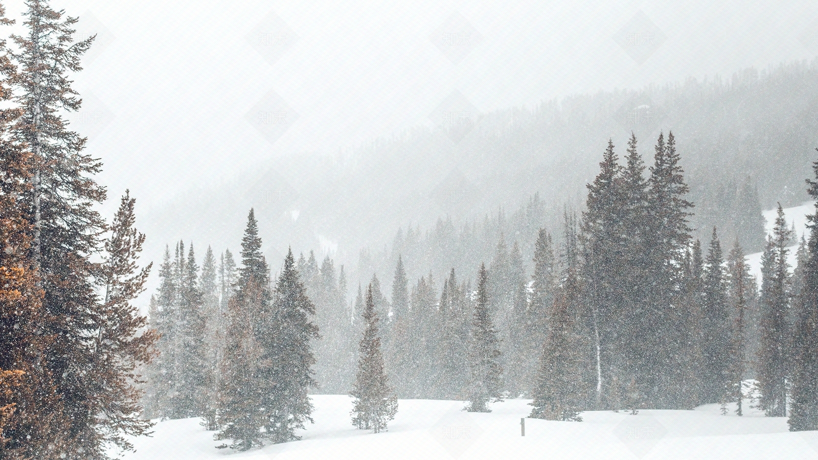 现代天空外景贴图下载【ID:1184270834】