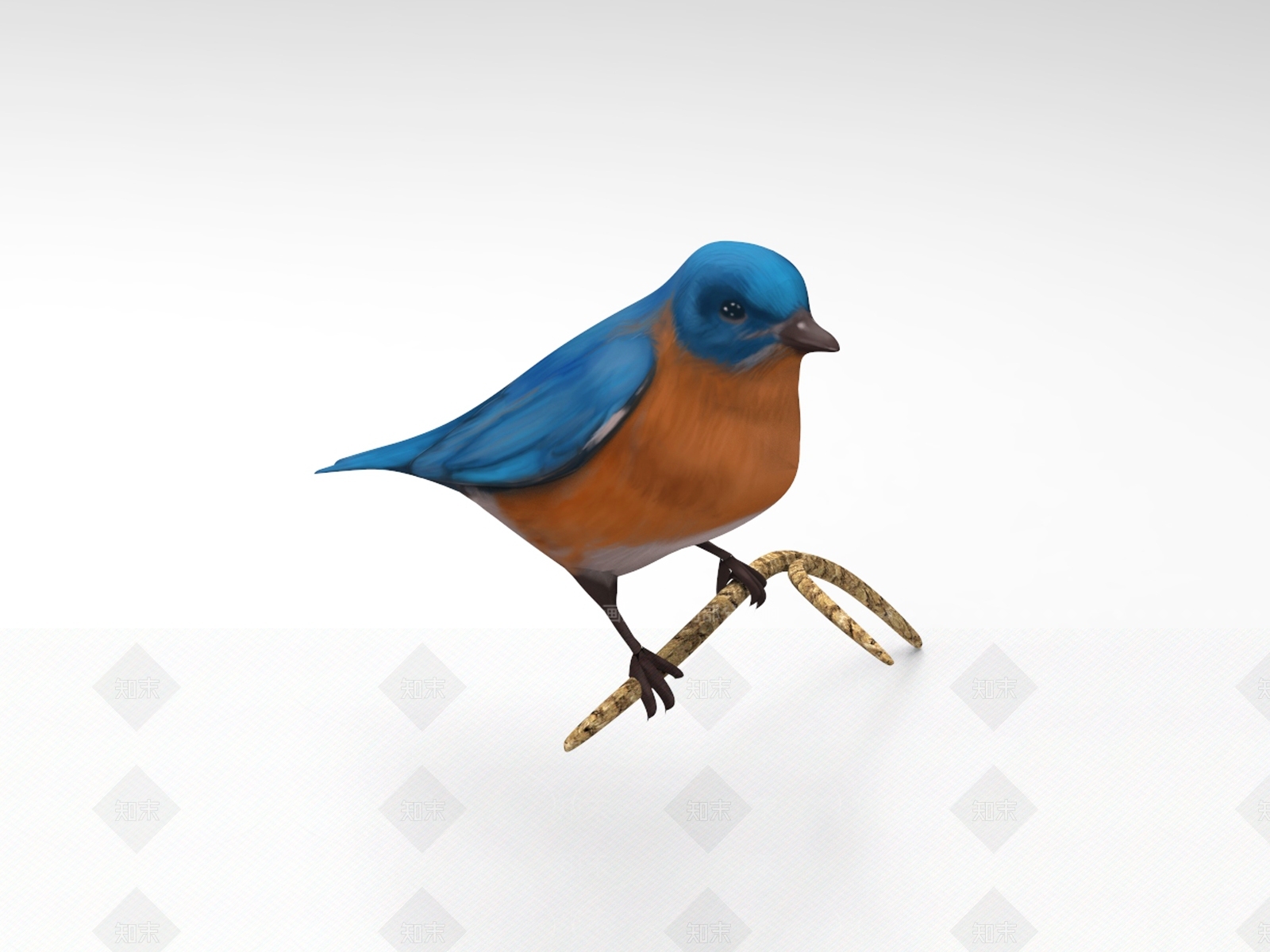 飞行类动物3D模型下载【ID:1184276470】