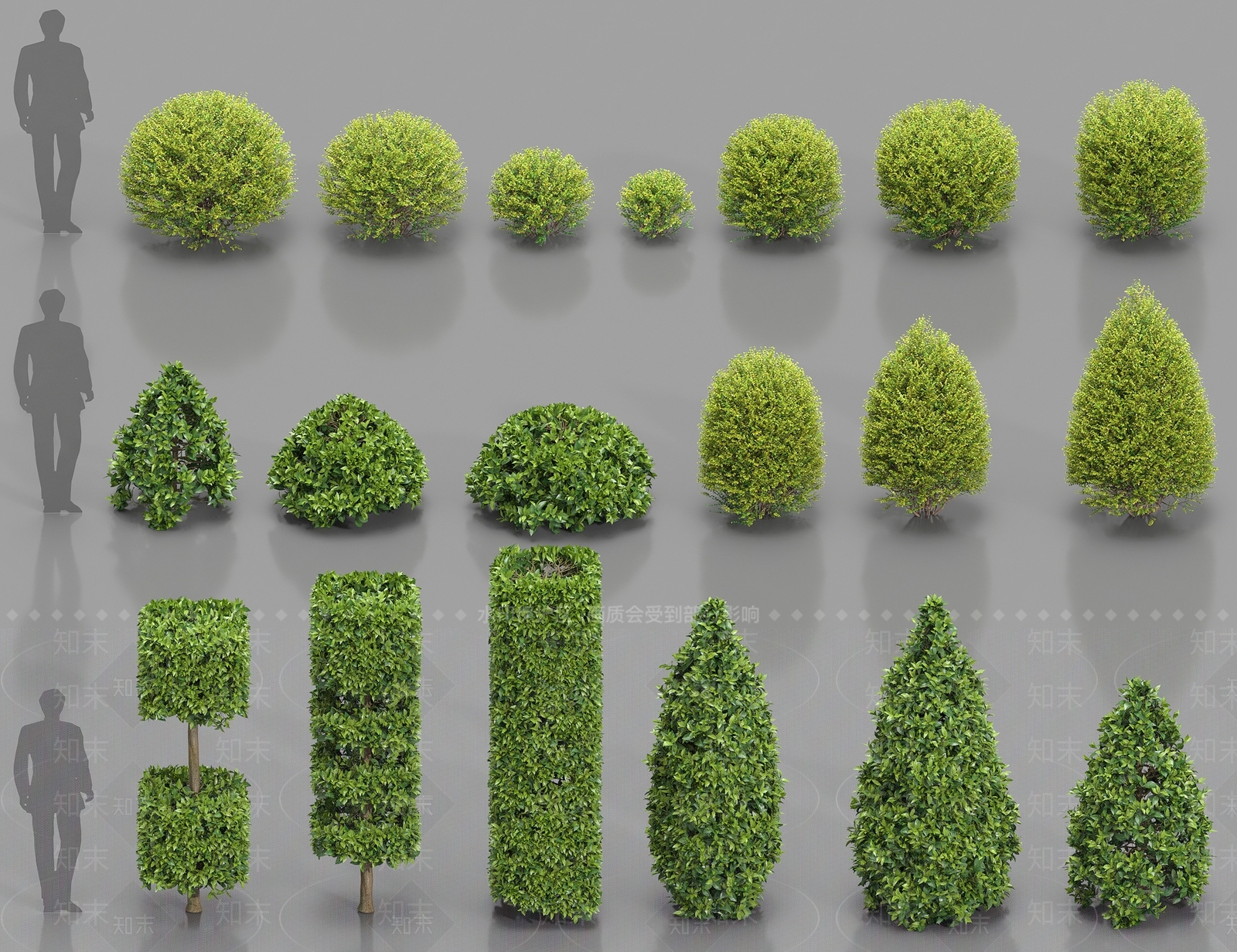 灌木3D模型下载【ID:1184316618】
