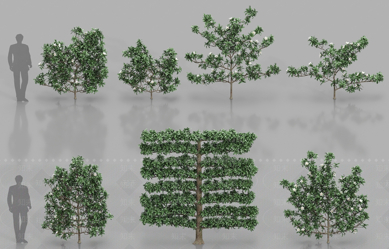 景观树3D模型下载【ID:1184316728】