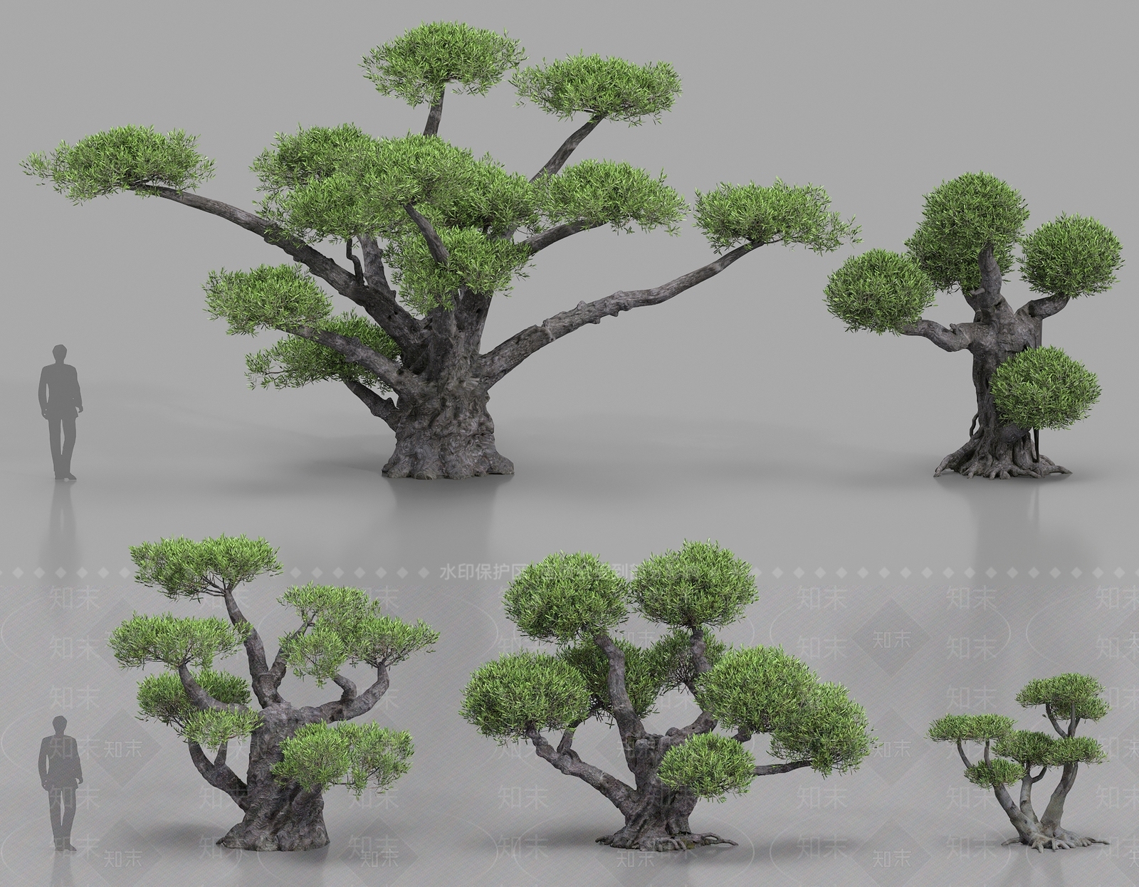 景观树3D模型下载【ID:1184317735】