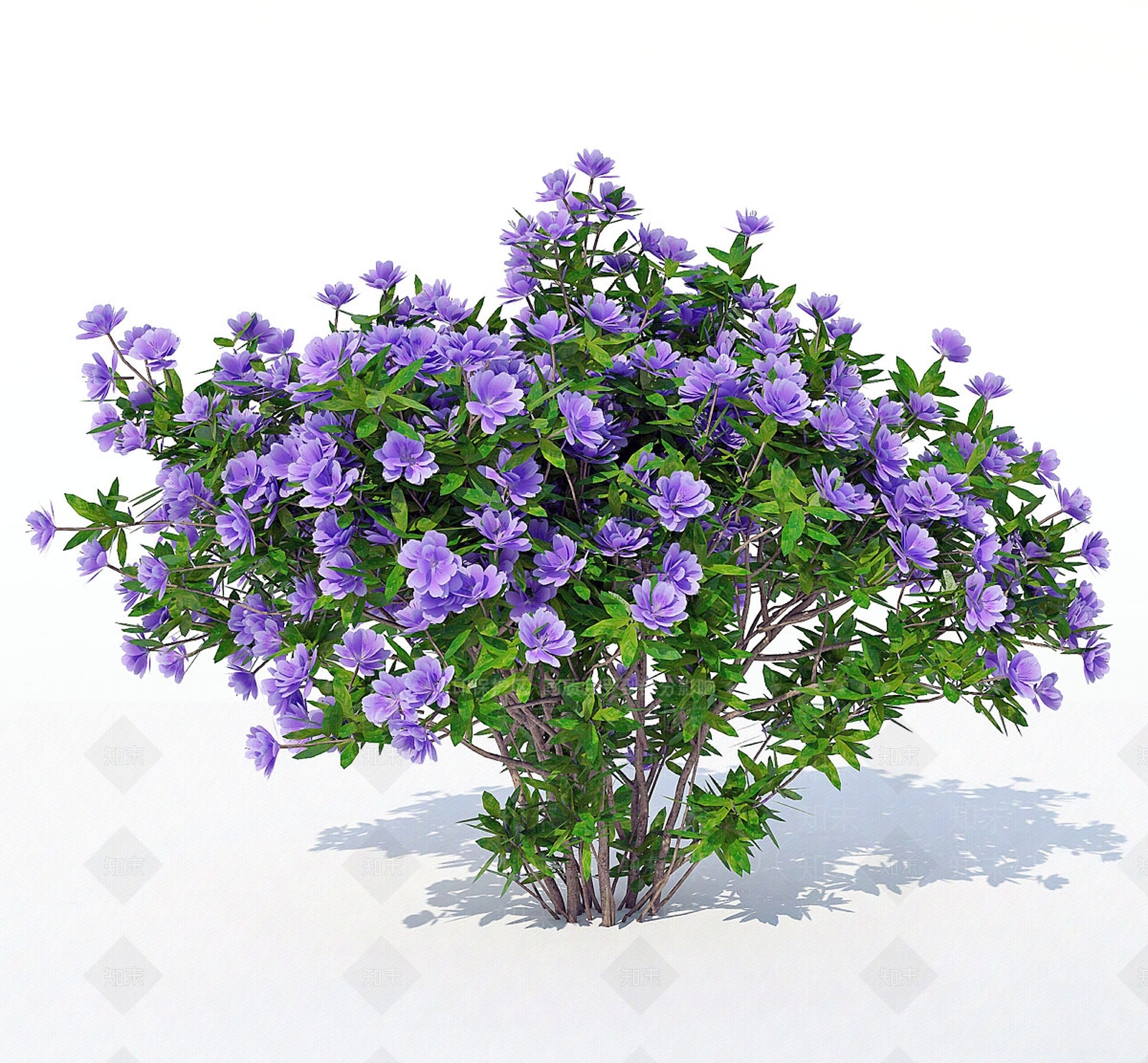 灌木3D模型下载【ID:1184333571】