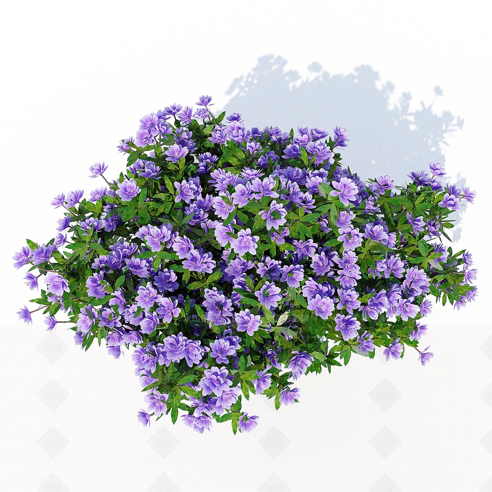 灌木3D模型下载【ID:1184333571】