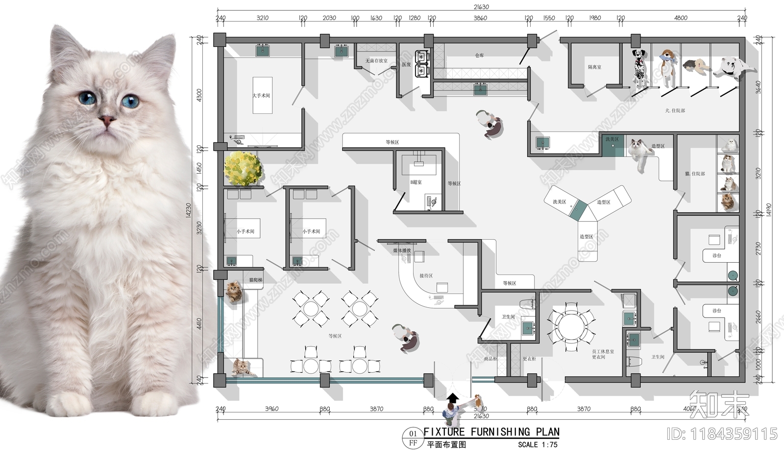 现代宠物医院施工图下载【ID:1184359115】