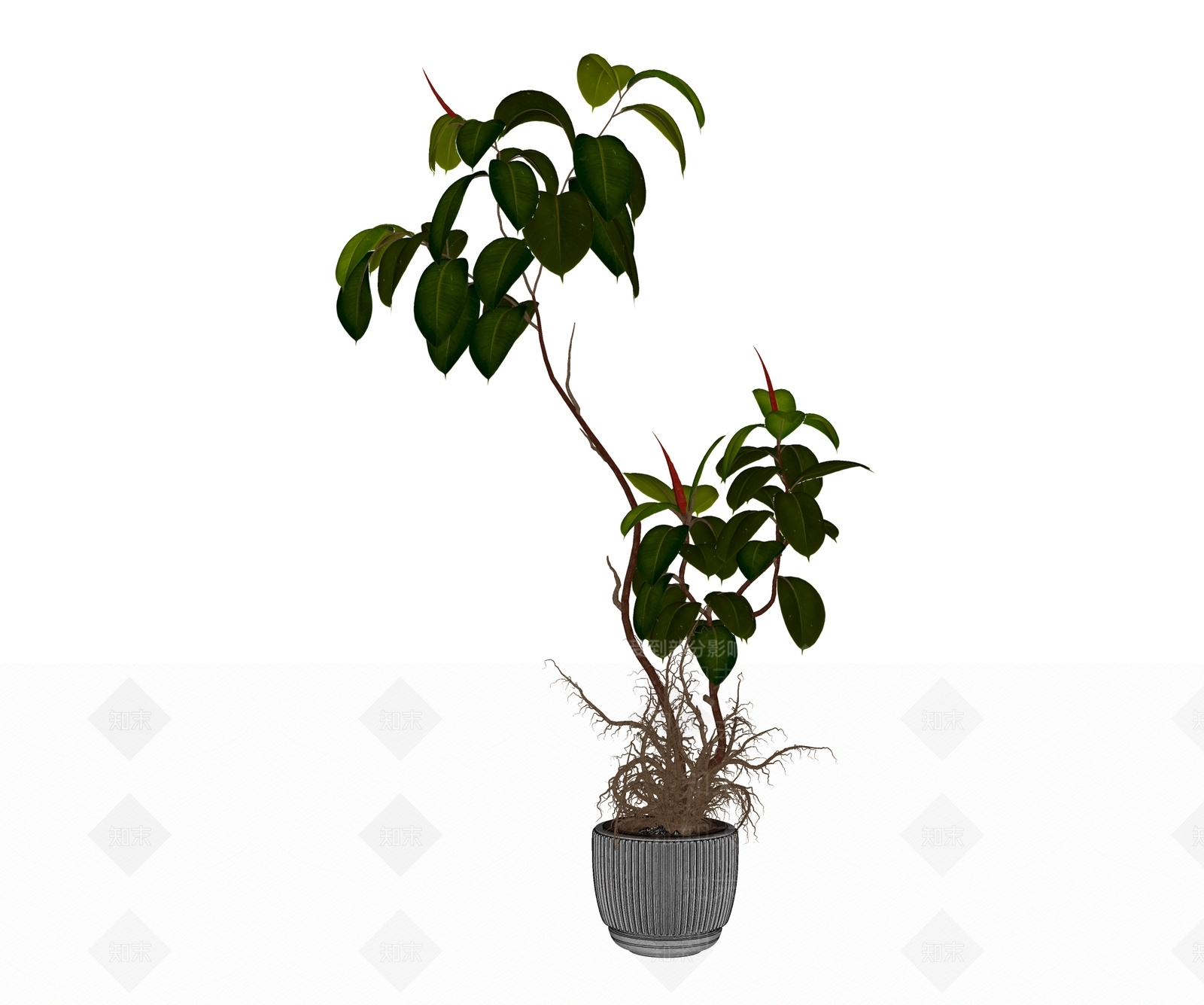 盆栽SU模型下载【ID:1184361326】