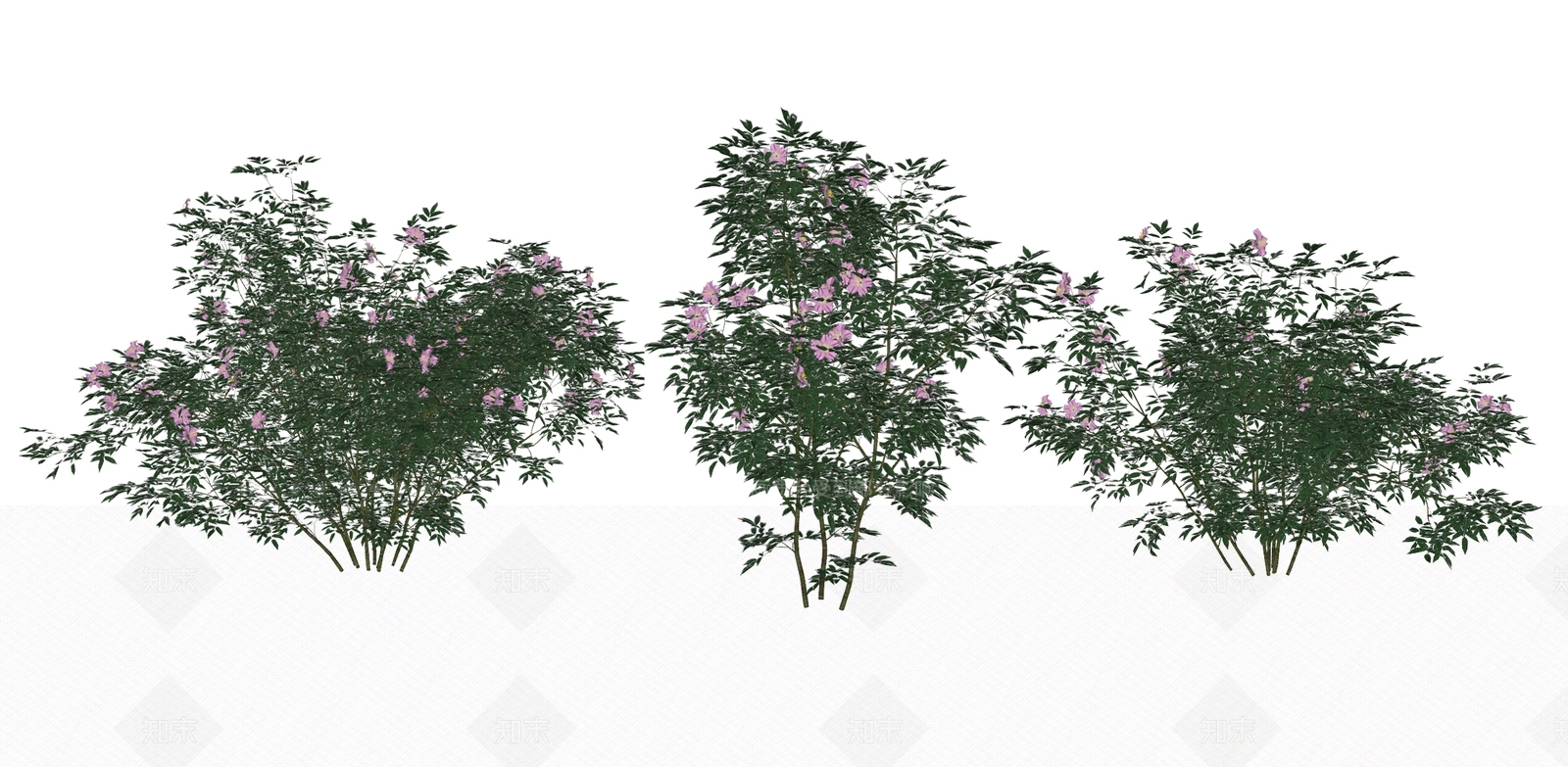 灌木SU模型下载【ID:1184364950】