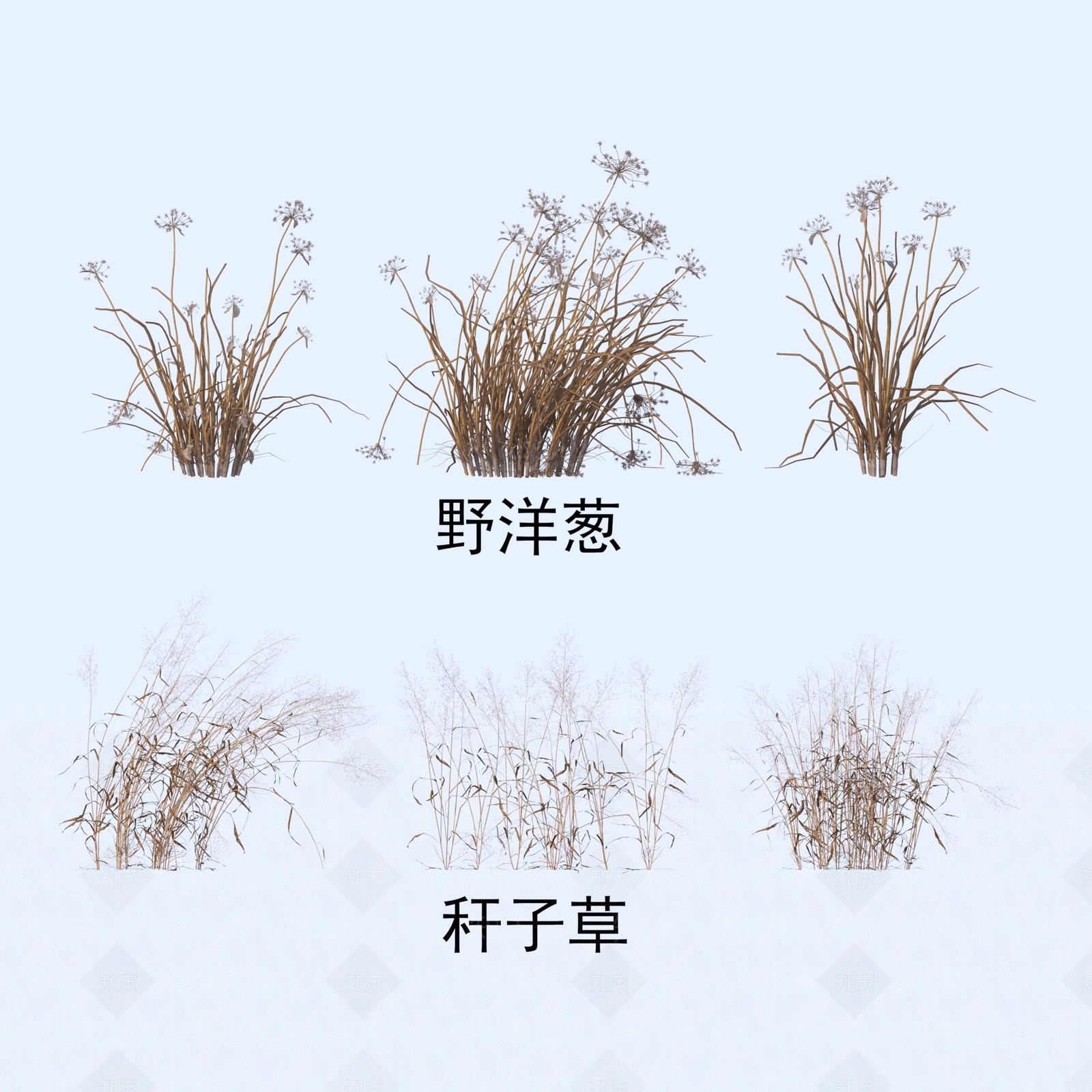 花草组合3D模型下载【ID:1184365835】