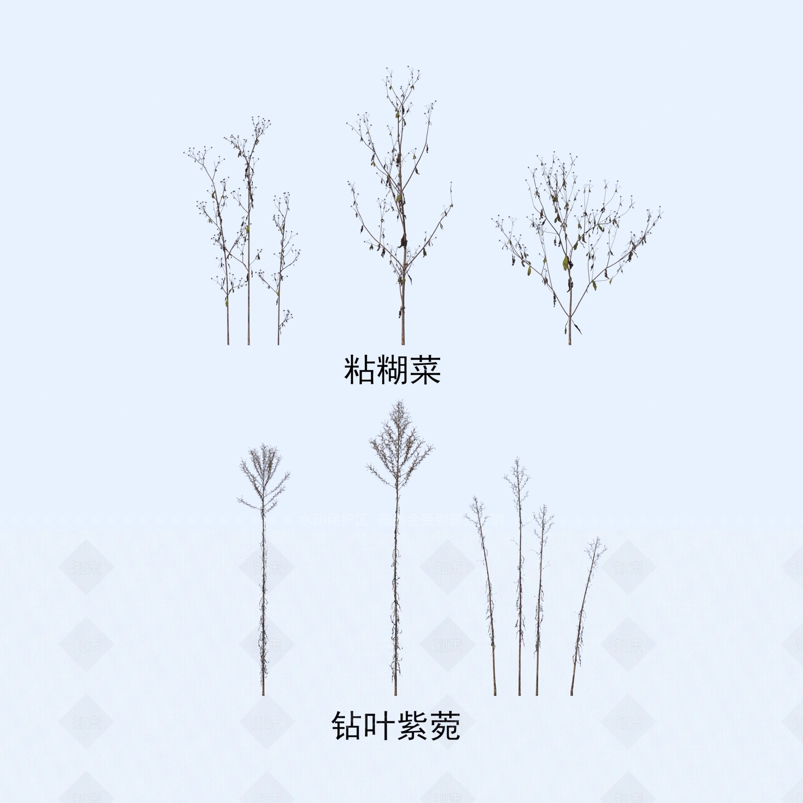 花草组合3D模型下载【ID:1184366367】