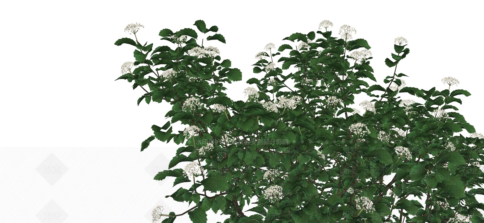 灌木SU模型下载【ID:1184367806】