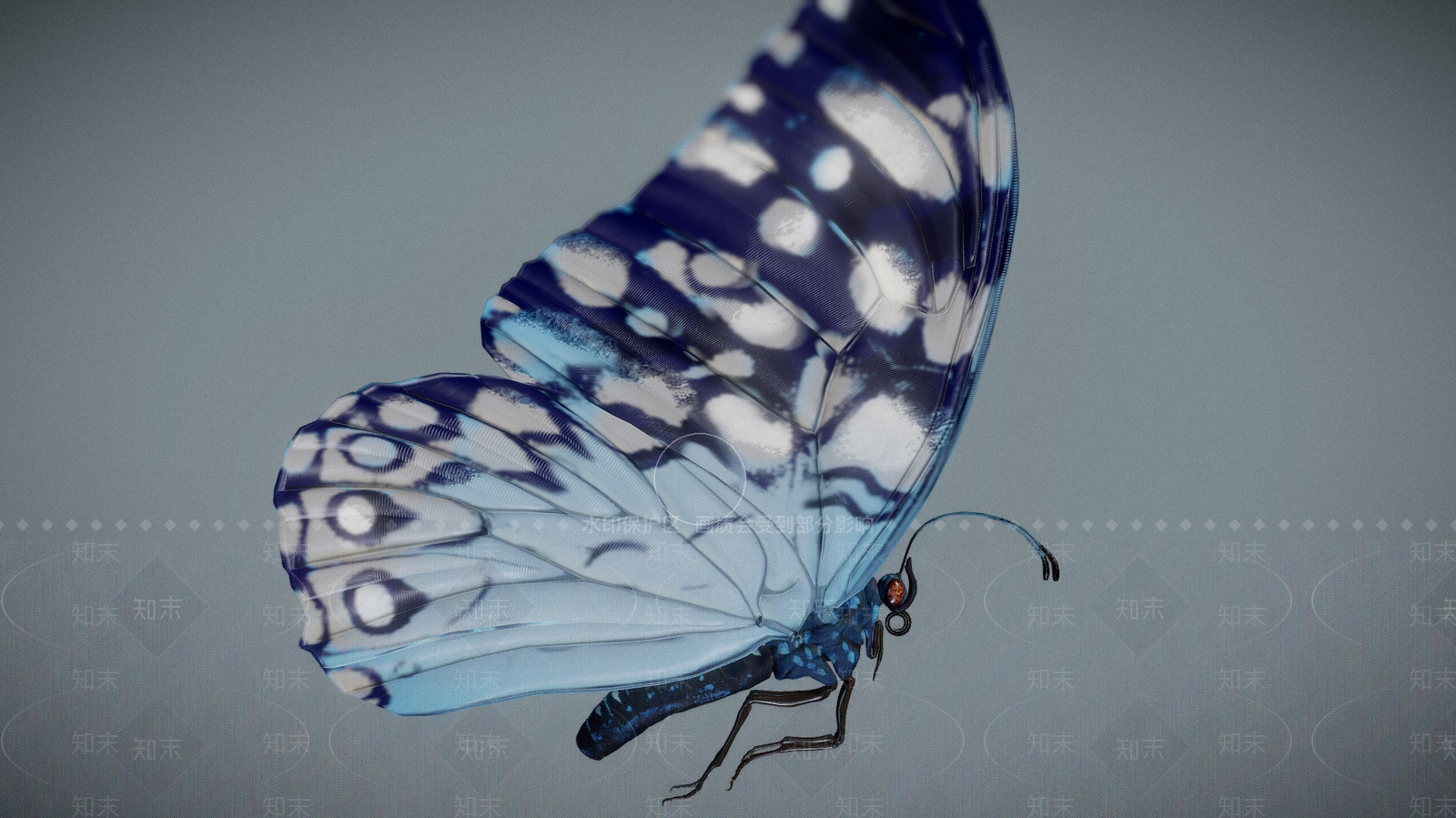 飞行类动物3D模型下载【ID:1184369842】