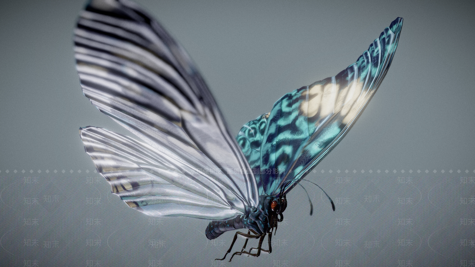 飞行类动物3D模型下载【ID:1184369842】