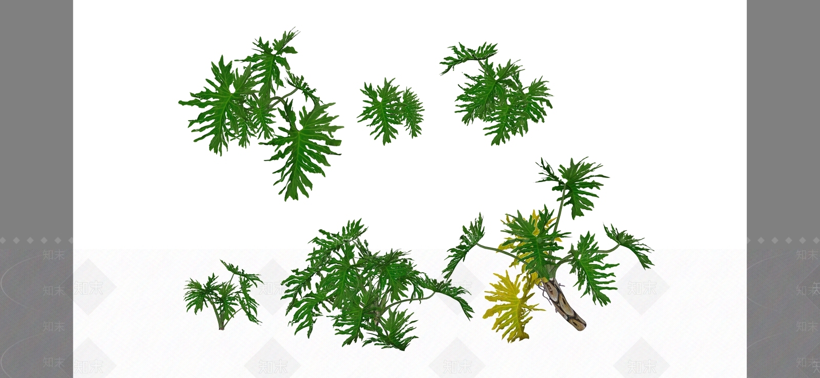 花草SU模型下载【ID:1184370320】