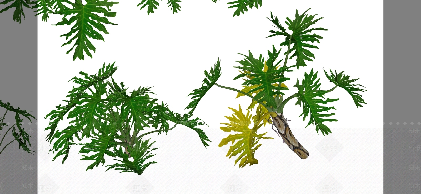 花草SU模型下载【ID:1184370320】