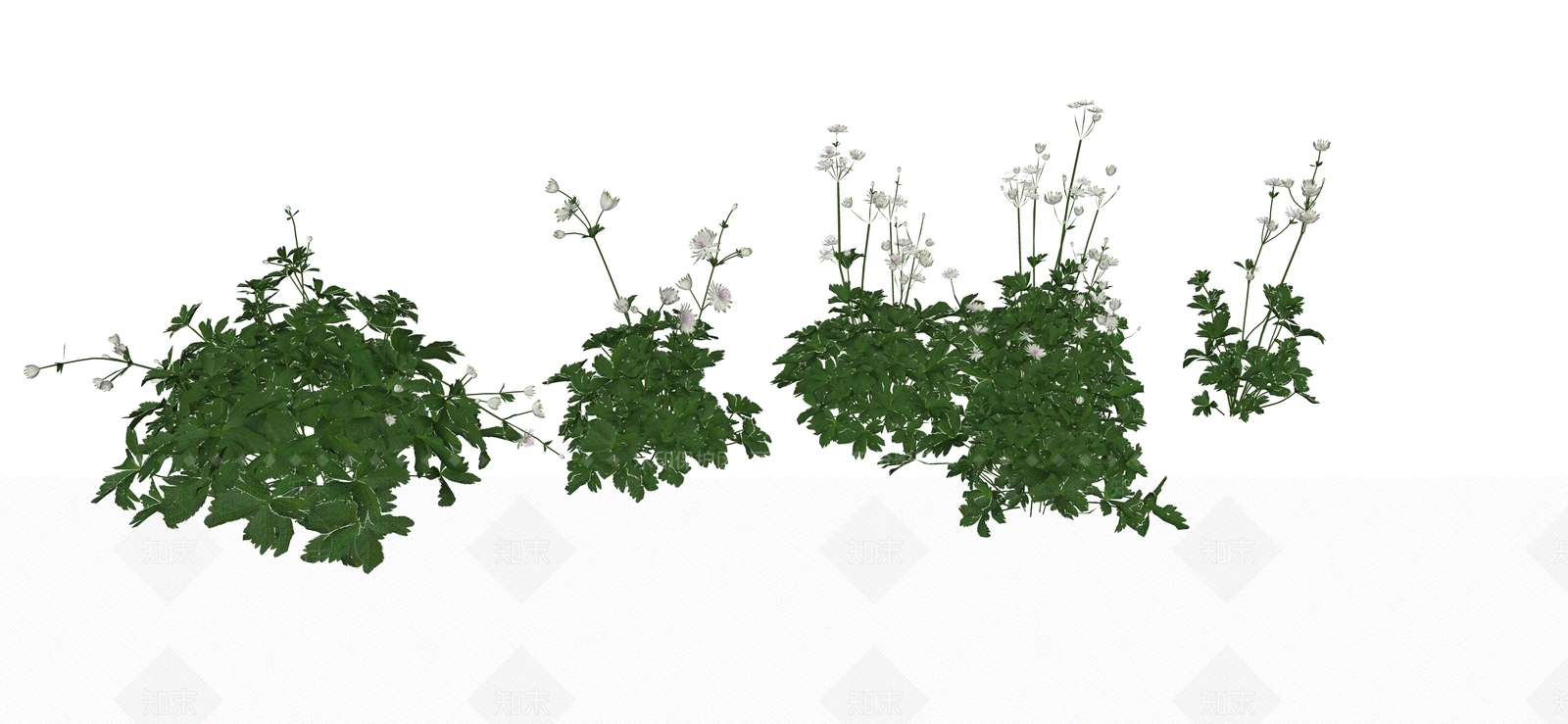 花草SU模型下载【ID:1184371557】