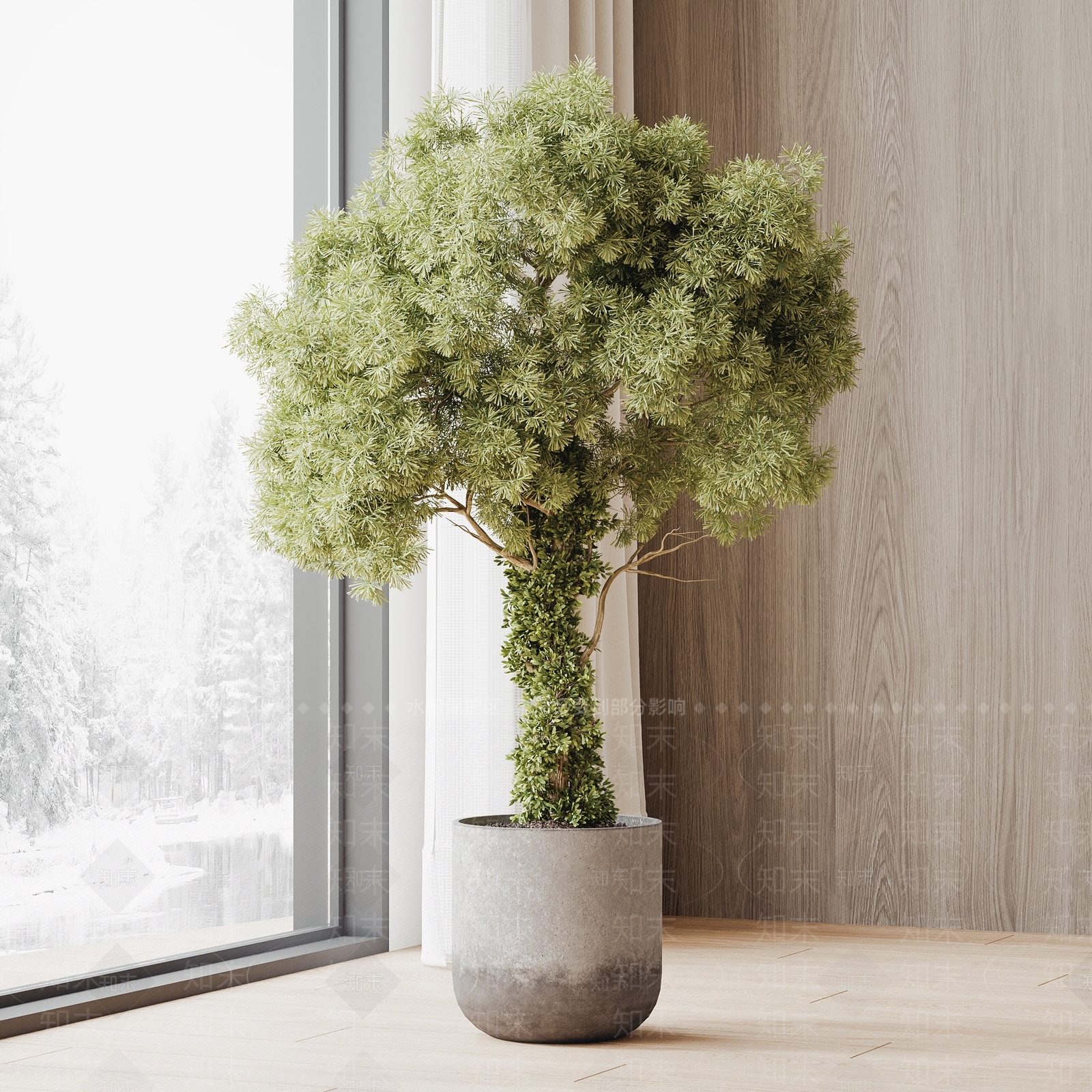 盆栽SU模型下载【ID:1184371774】