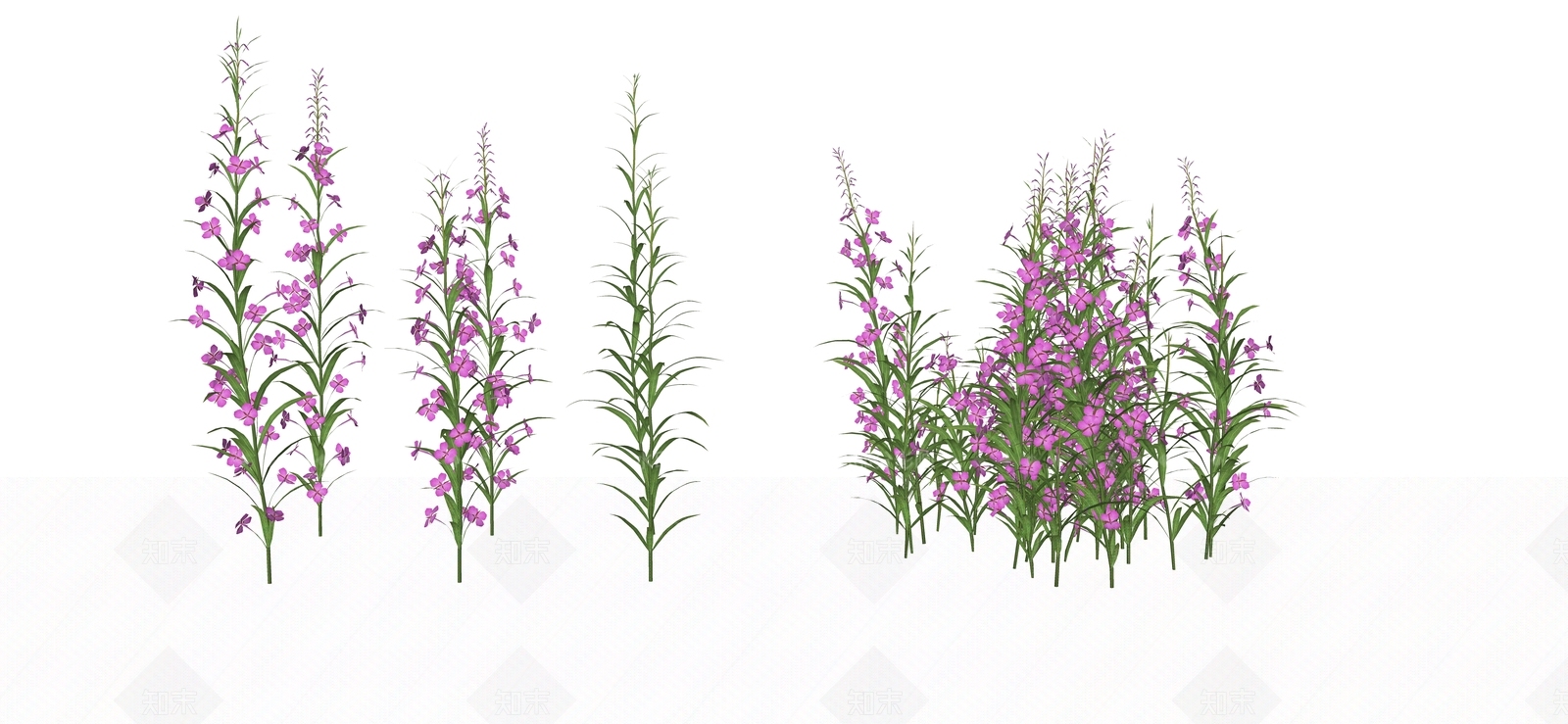 花草SU模型下载【ID:1184375183】