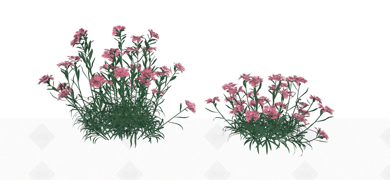 花草SU模型下载【ID:1184376203】