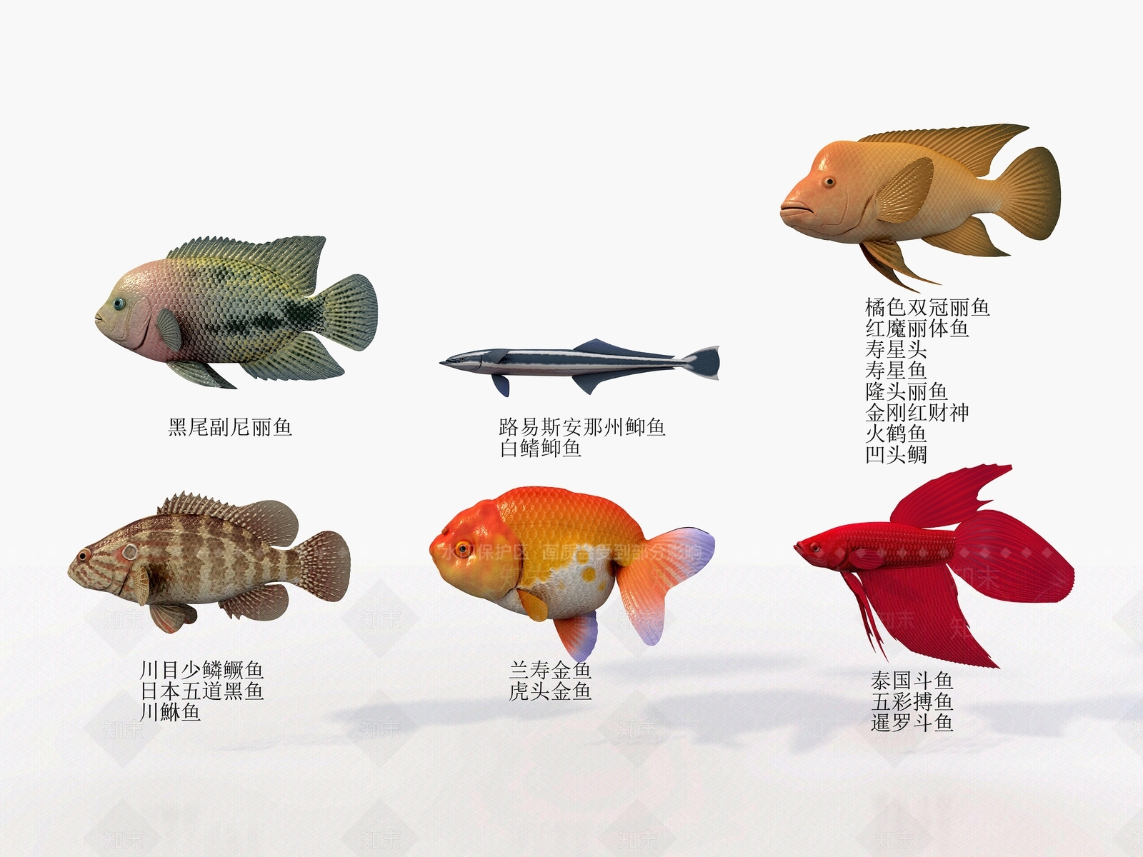 水生类动物3D模型下载【ID:1184378115】