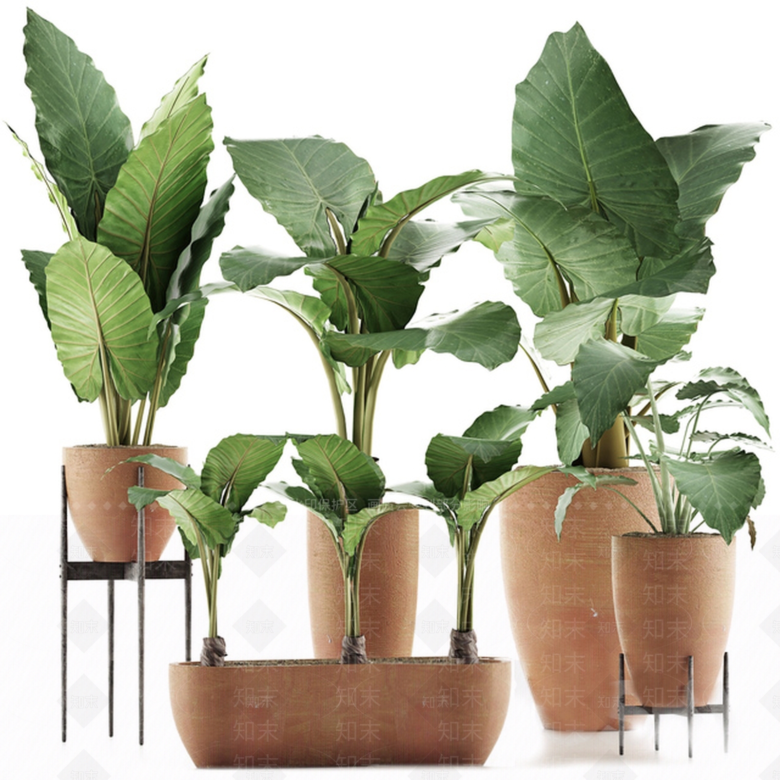 现代植物集合3D模型下载【ID:1184387092】