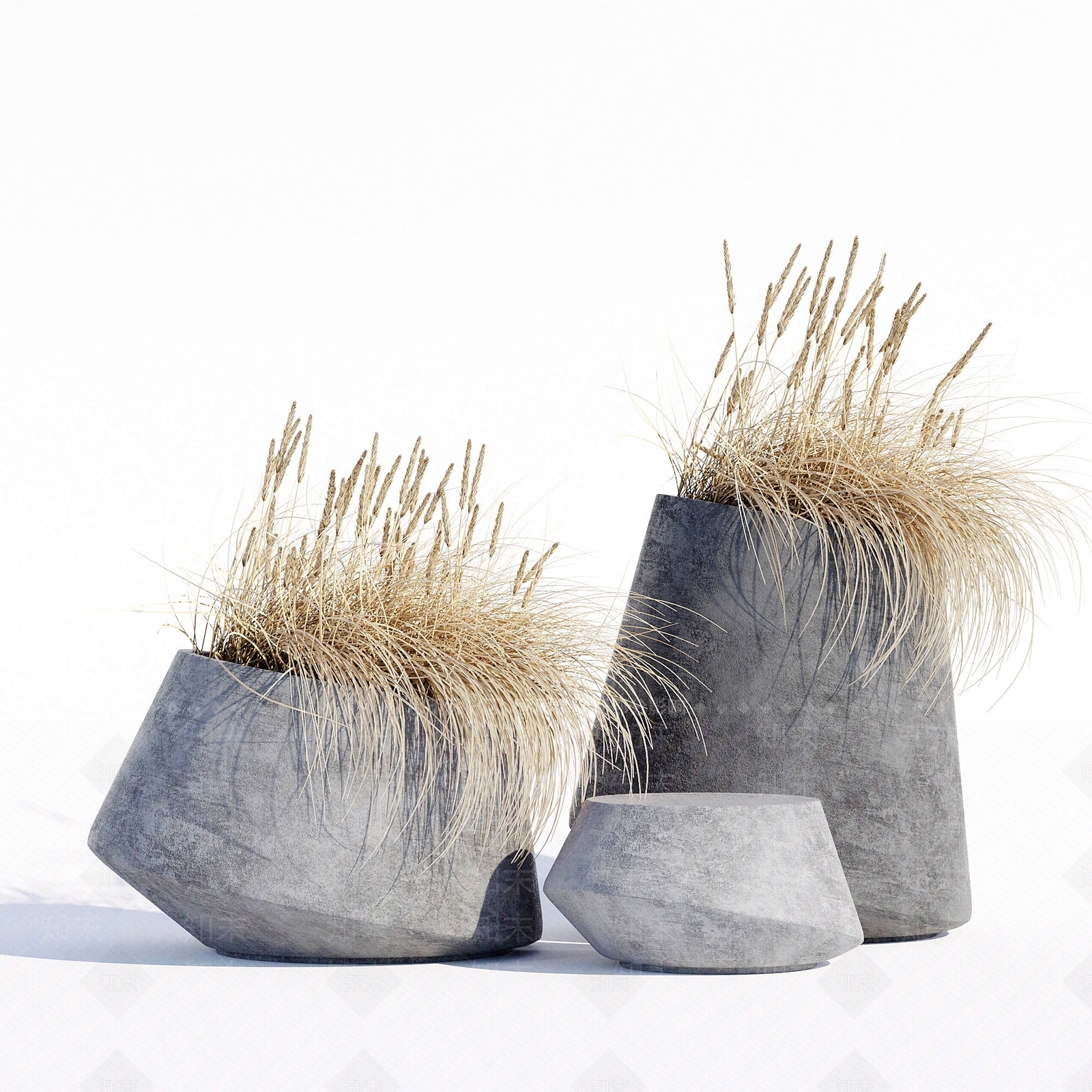 现代芦苇草植物盆栽摆件3D模型下载【ID:1184394160】