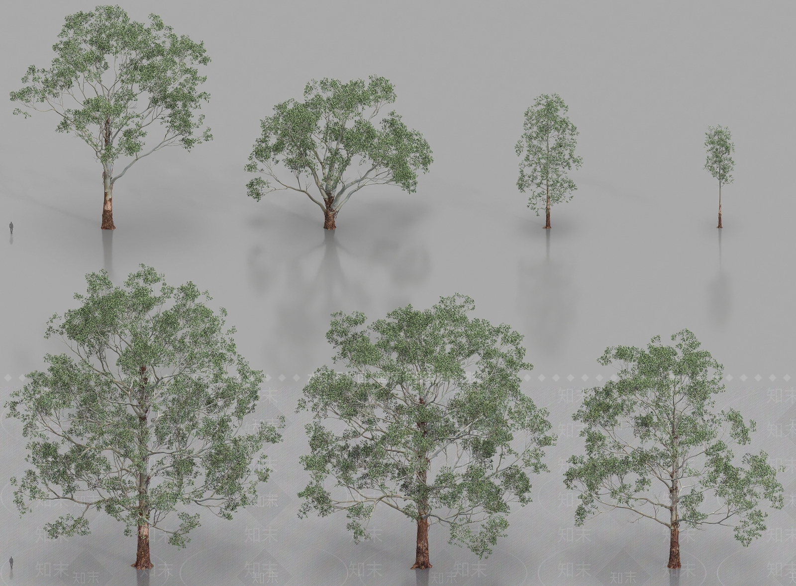 乔木3D模型下载【ID:1184412058】