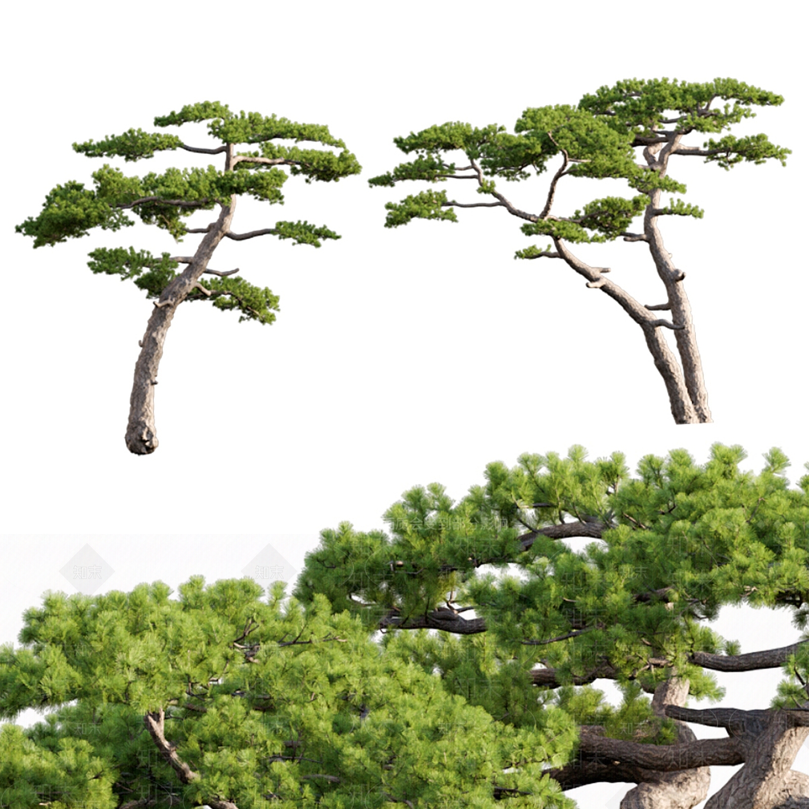 景观树3D模型下载【ID:1184436065】