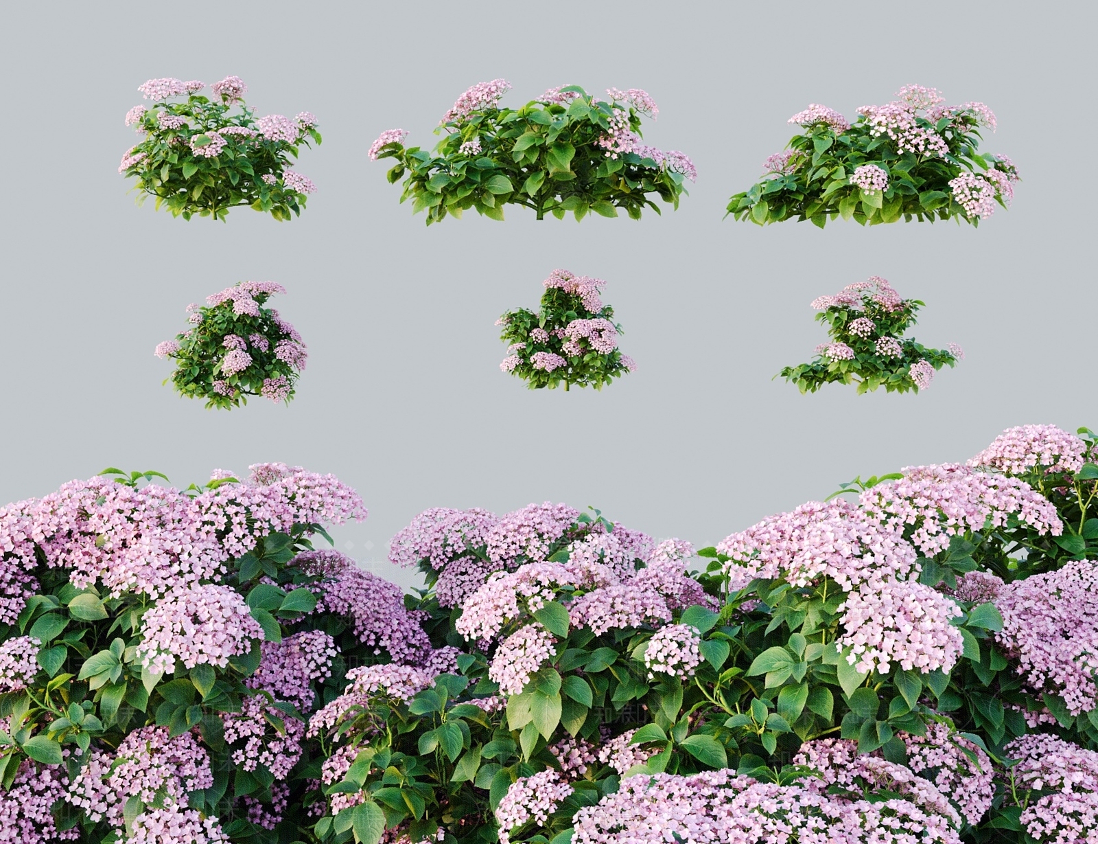 花3D模型下载【ID:1184442555】