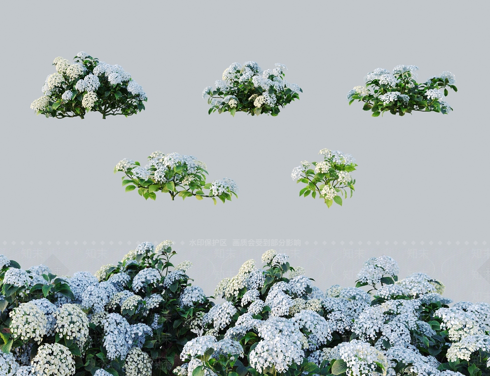 花3D模型下载【ID:1184442969】