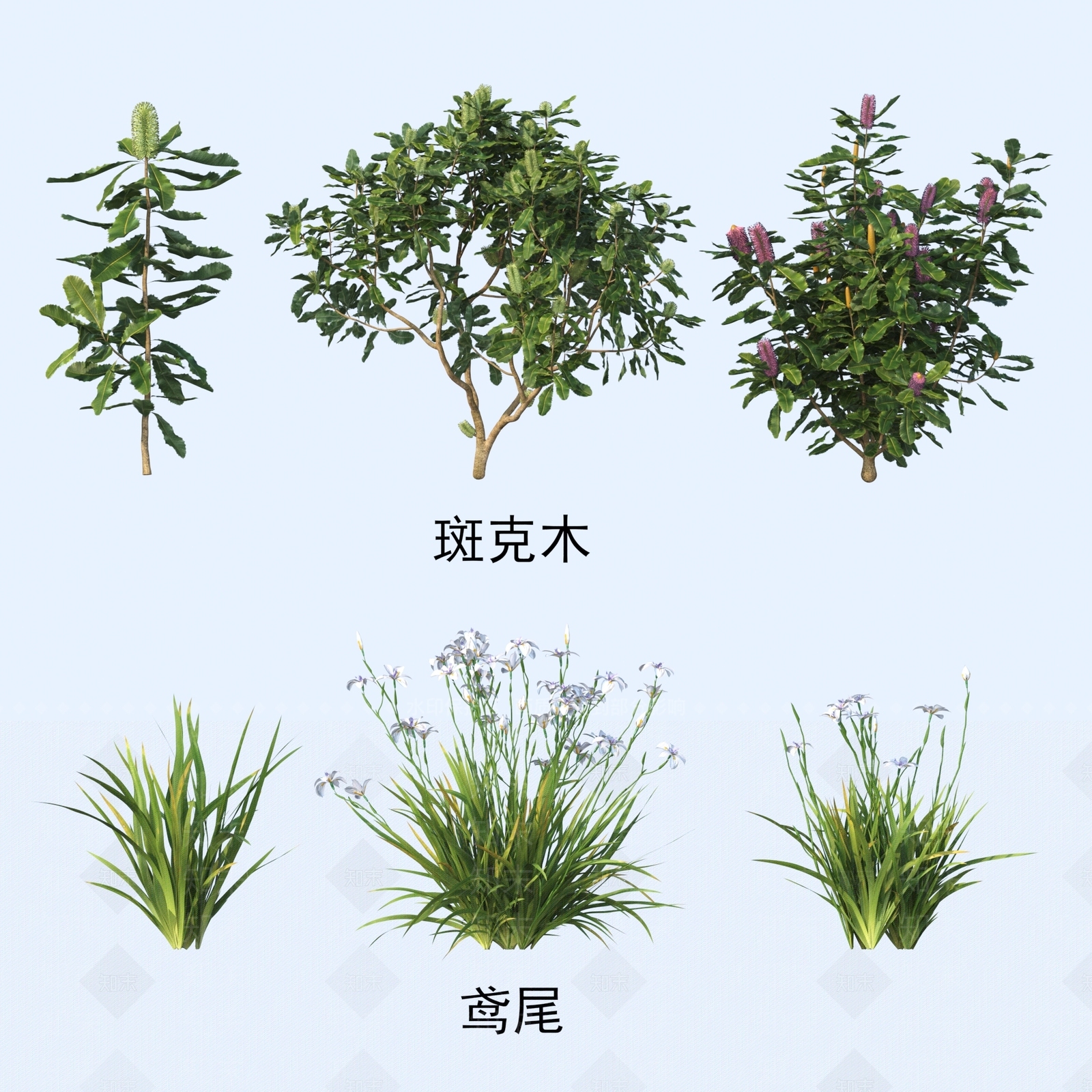 灌木3D模型下载【ID:1184446414】