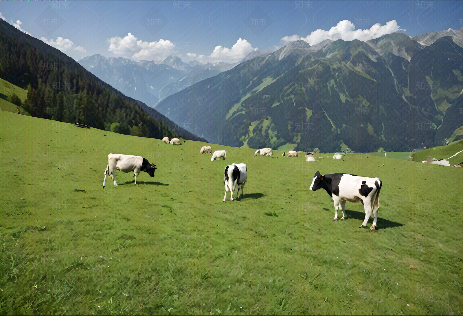 现代屏幕贴图下载【ID:1184465350】