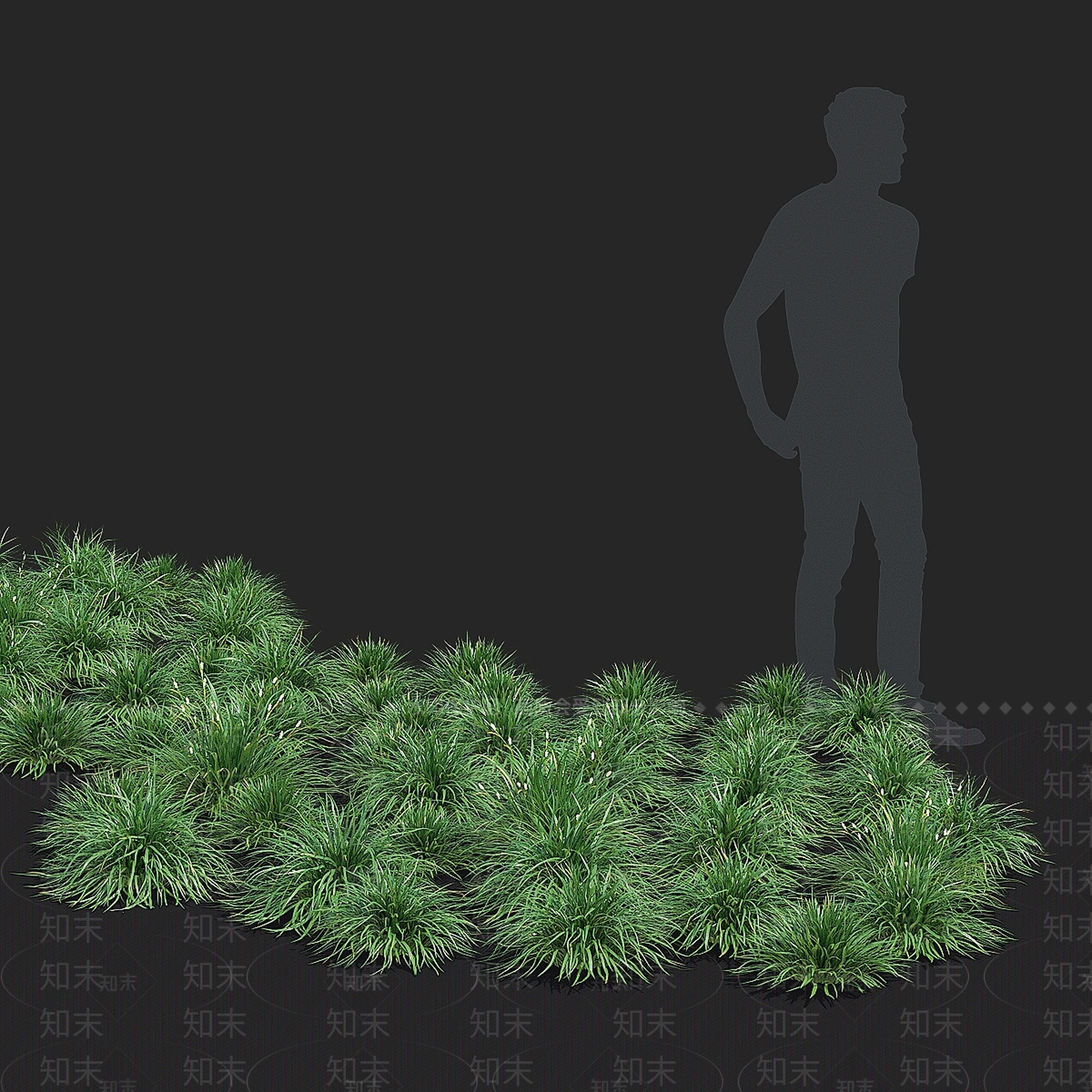 草3D模型下载【ID:1184465448】