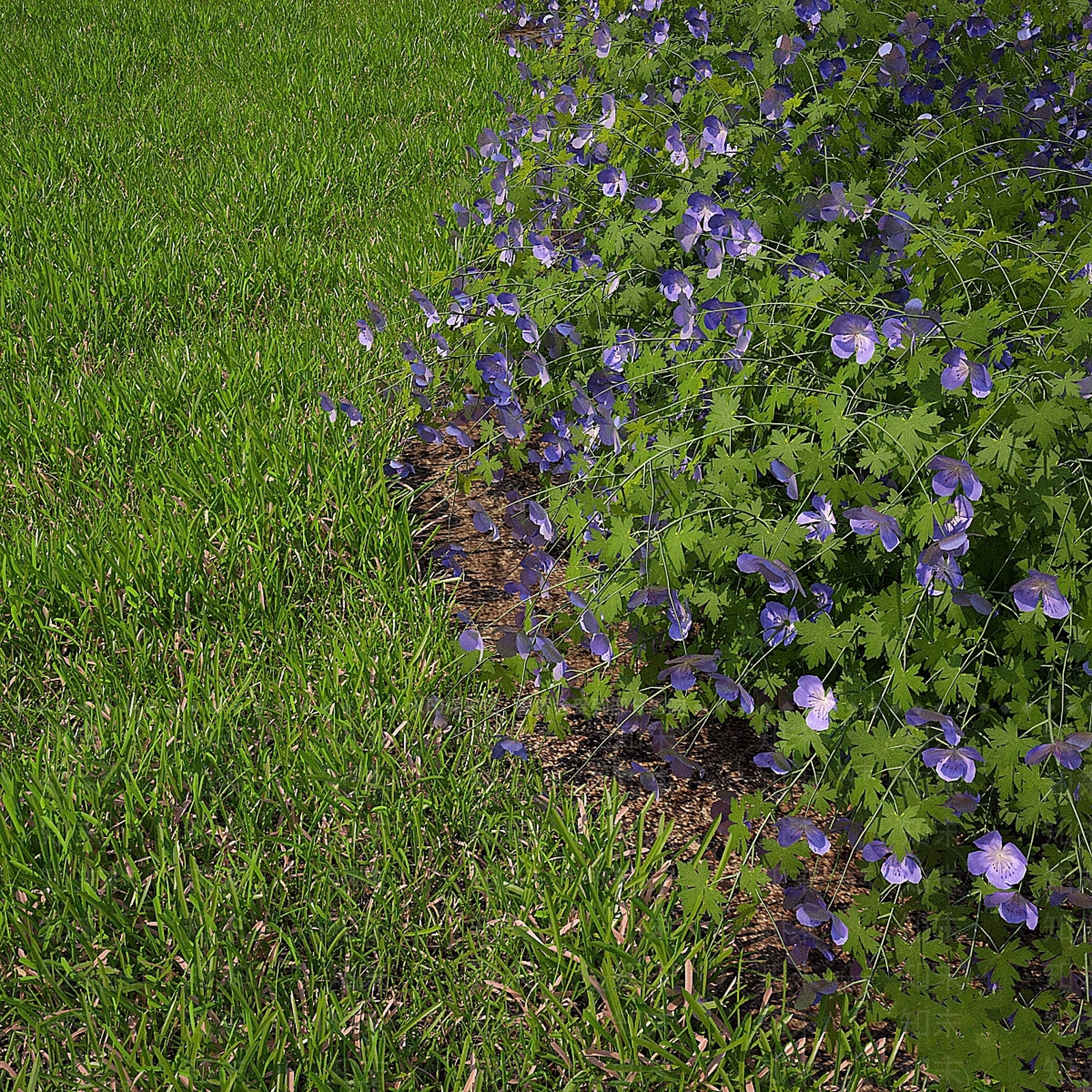 灌木3D模型下载【ID:1184465799】