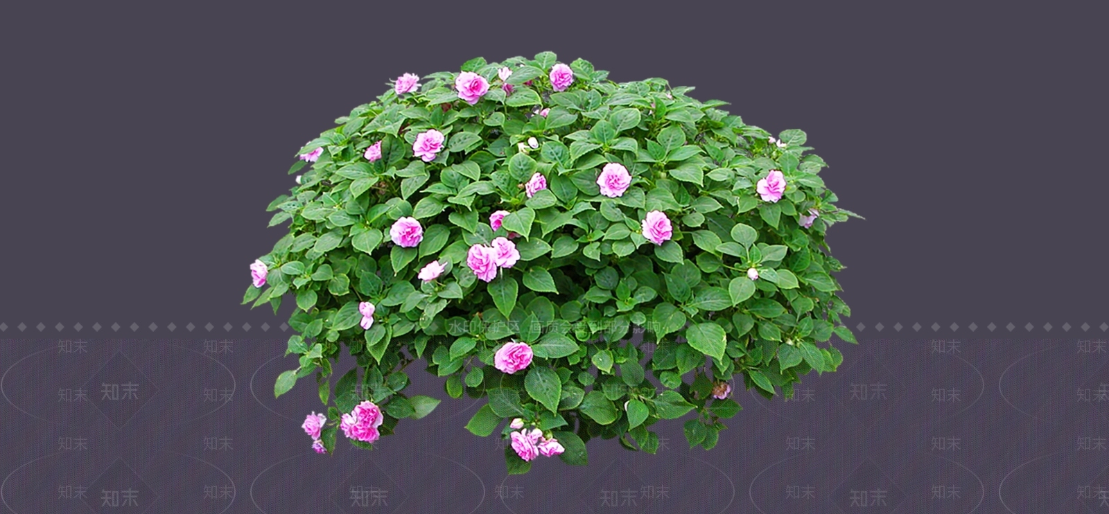 灌木SU模型下载【ID:1184481572】