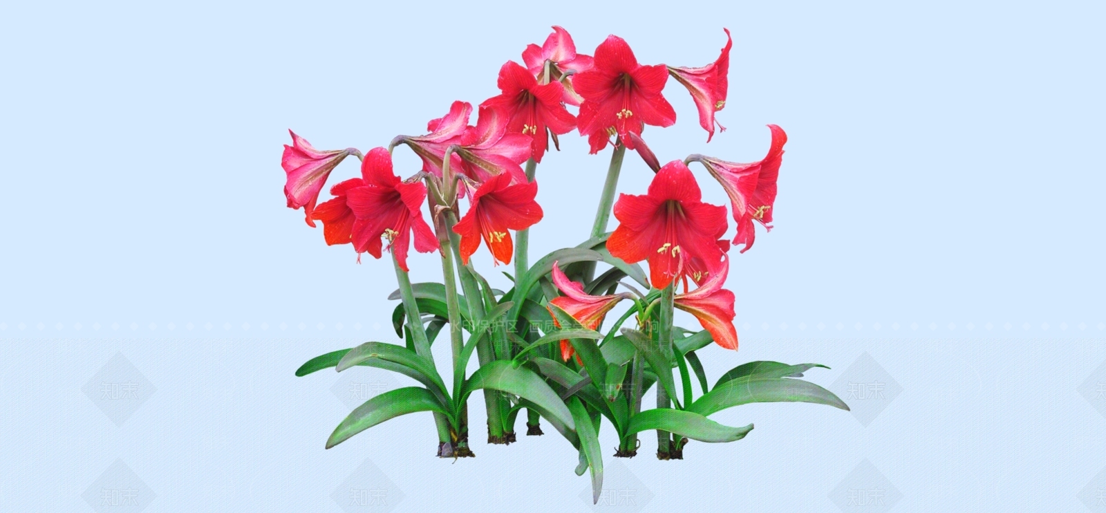 灌木SU模型下载【ID:1184481765】