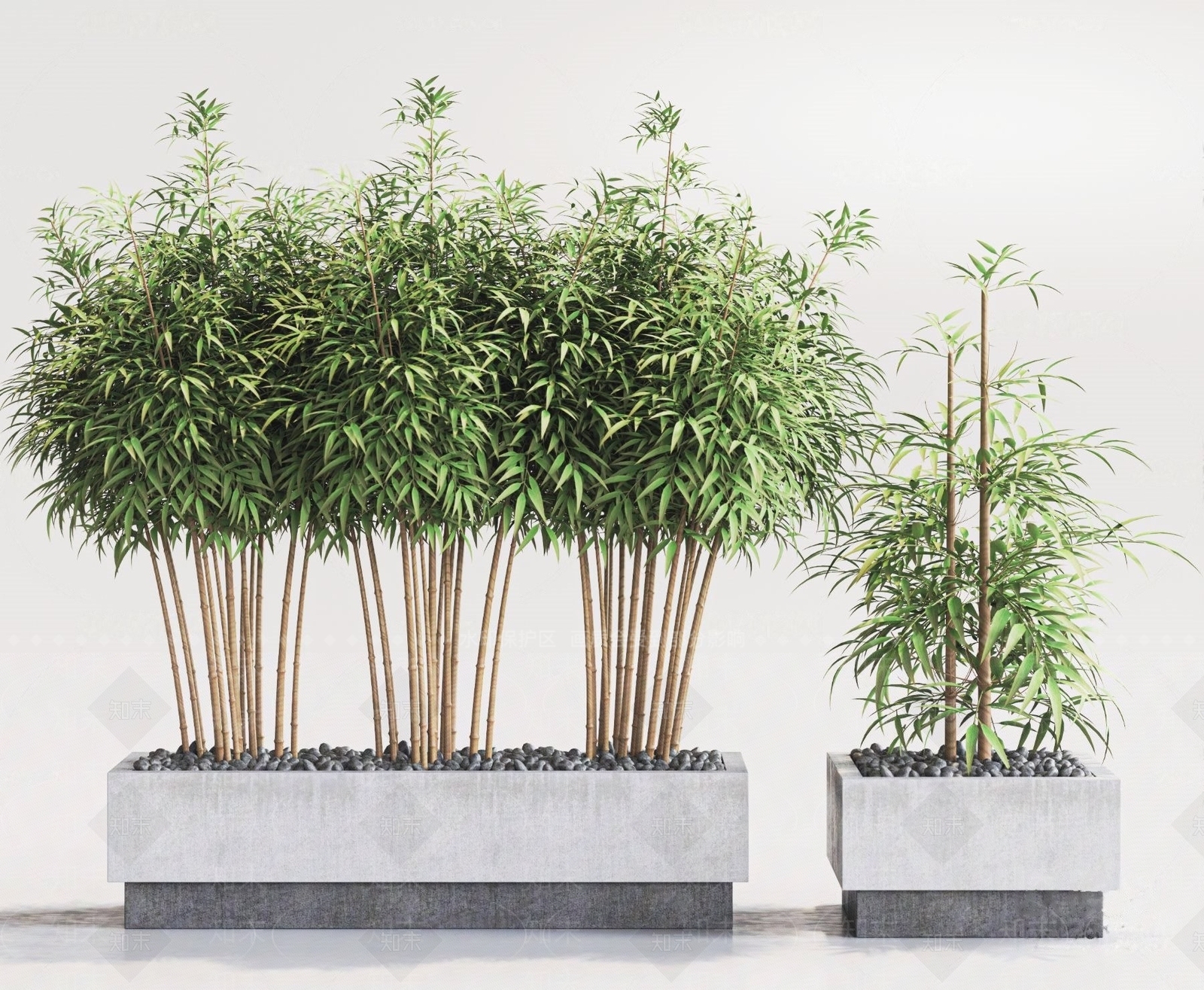 现代竹子盆栽3D模型下载【ID:1184484438】