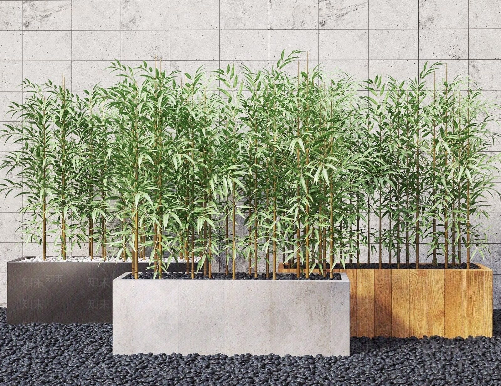 现代竹子绿植盆栽3D模型下载【ID:1184484569】