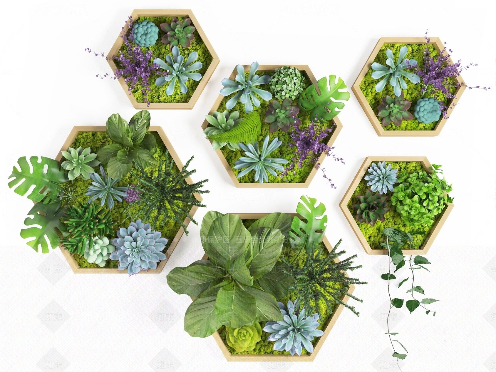 现代多肉绿植植物墙3D模型下载【ID:1184485318】