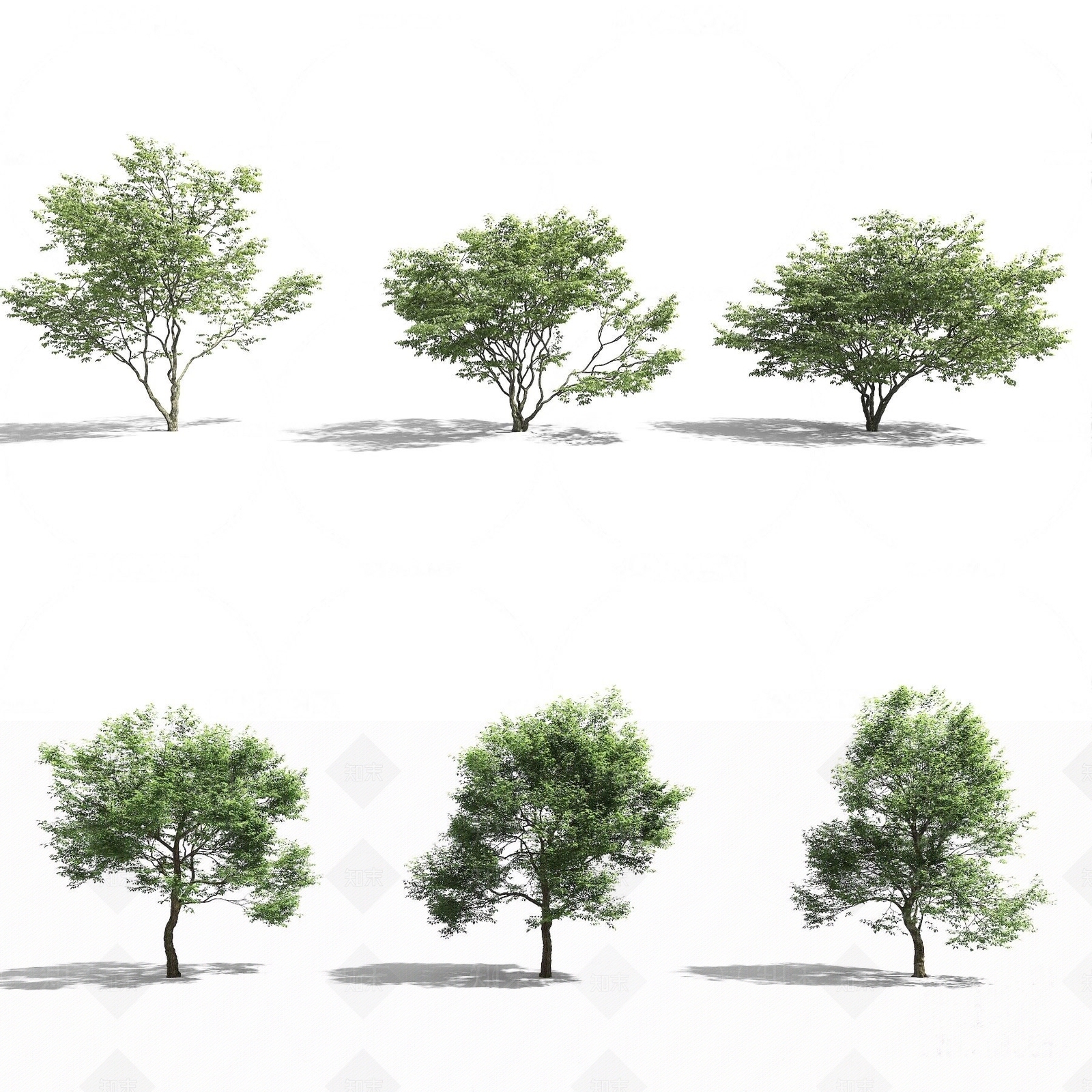 现代城市街道树木3D模型下载【ID:1184488366】