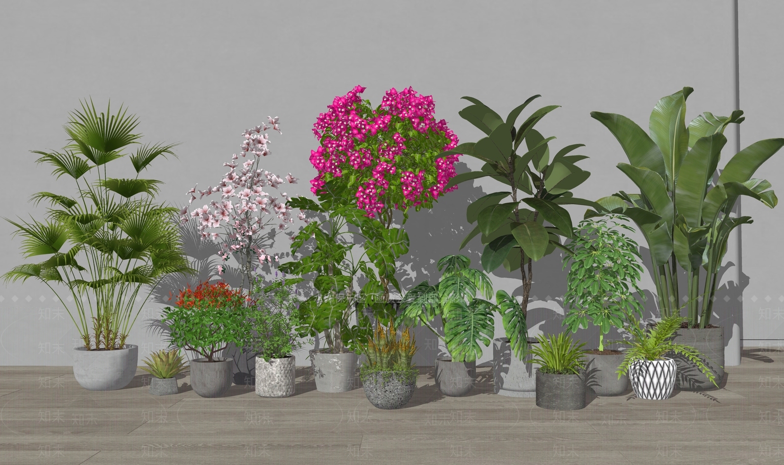 盆栽SU模型下载【ID:1184496766】